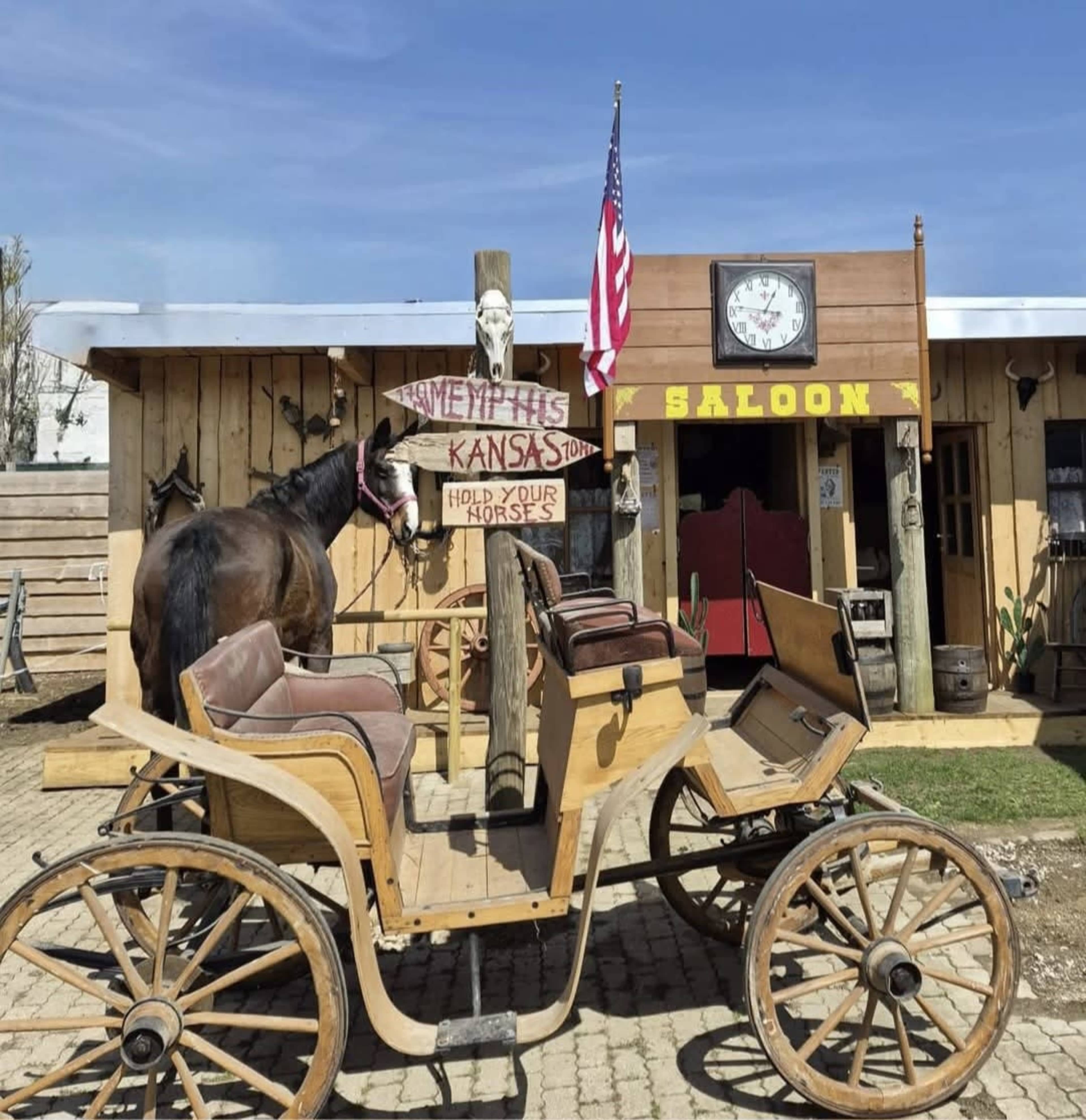 A horse-drawn carriage is parked in front of a rustic saloon with a wooden sign that reads "Hold Your Horses" and an American flag waving overhead.