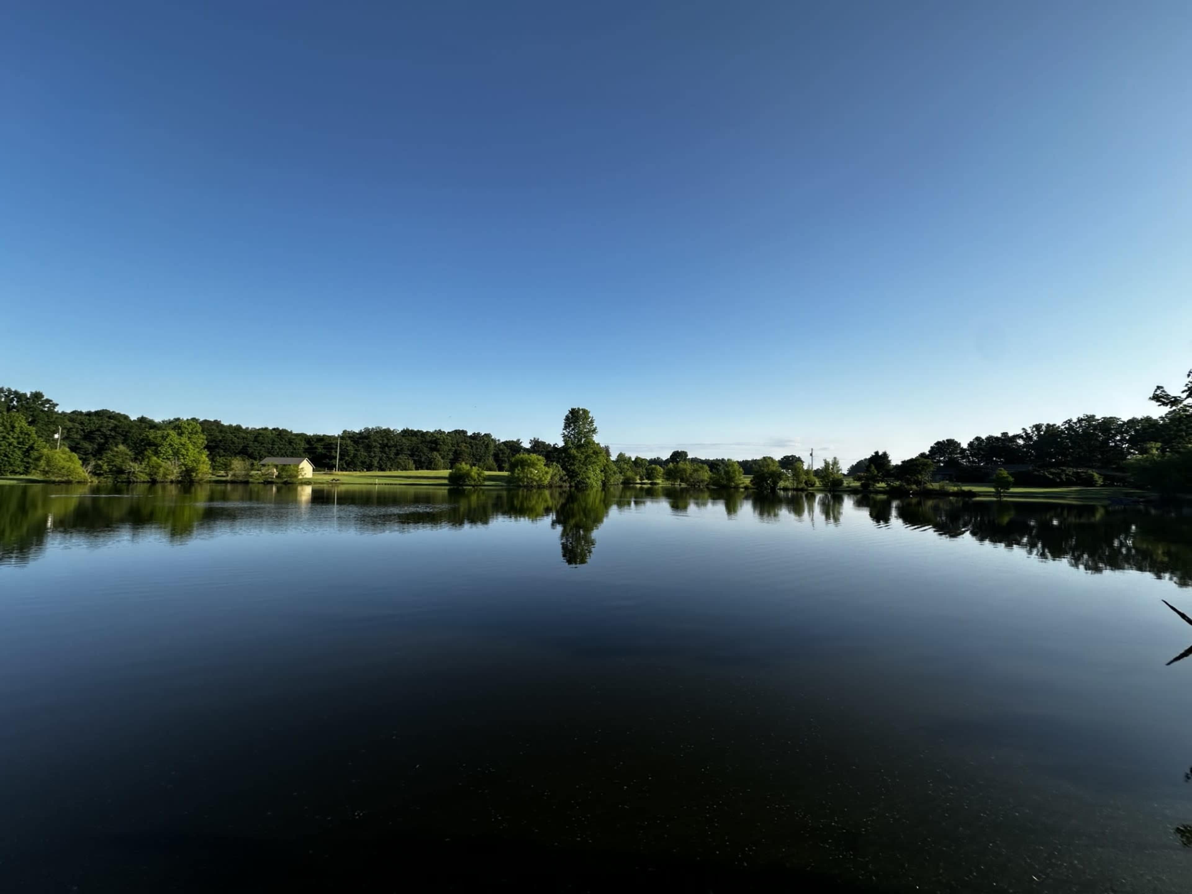 A calm lake reflects trees and a clear blue sky.