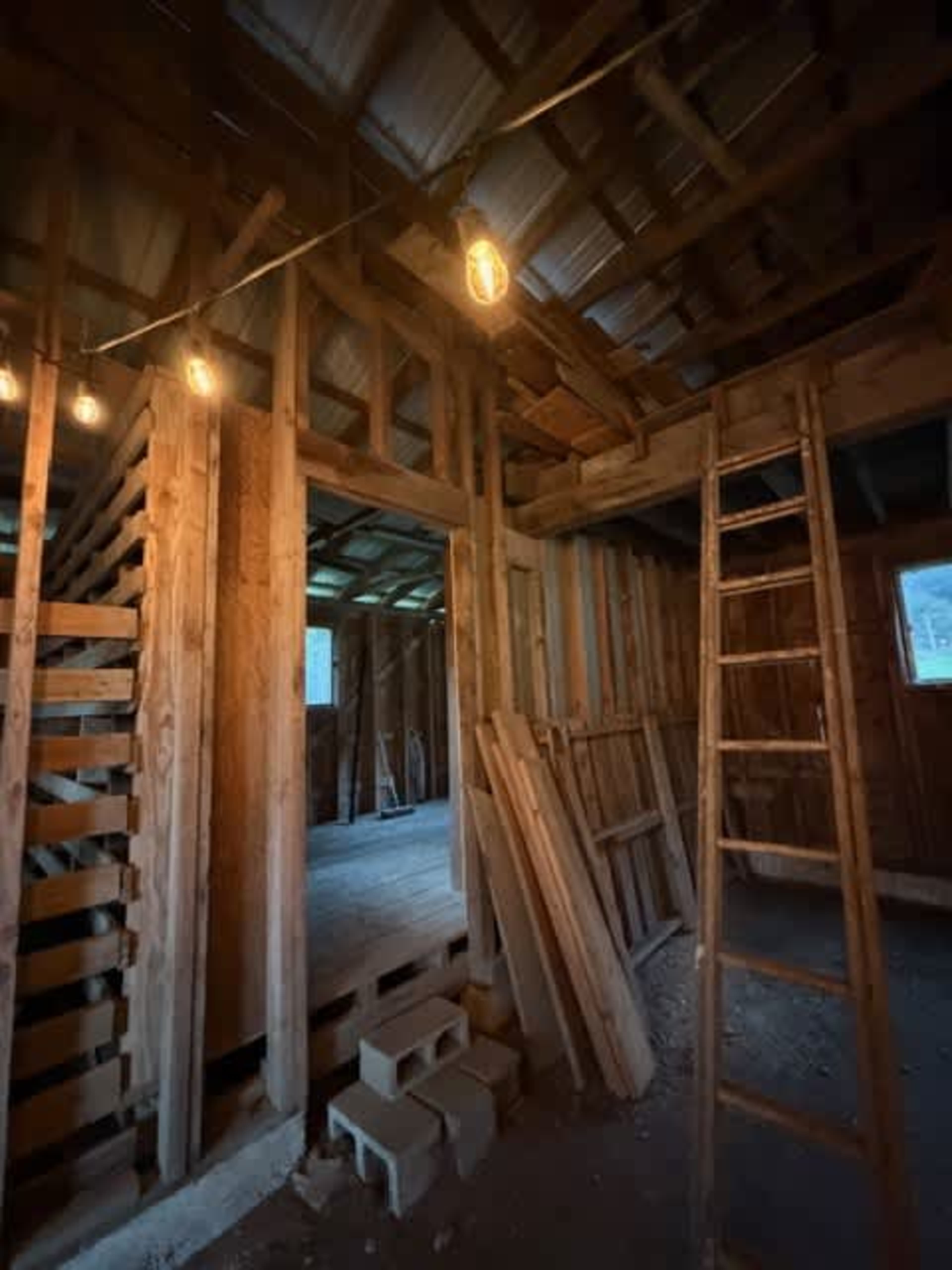Private Pastures & Woods on Whidbey Island — Photo Sessions & Small Gatherings Image in , CLINTON, WA