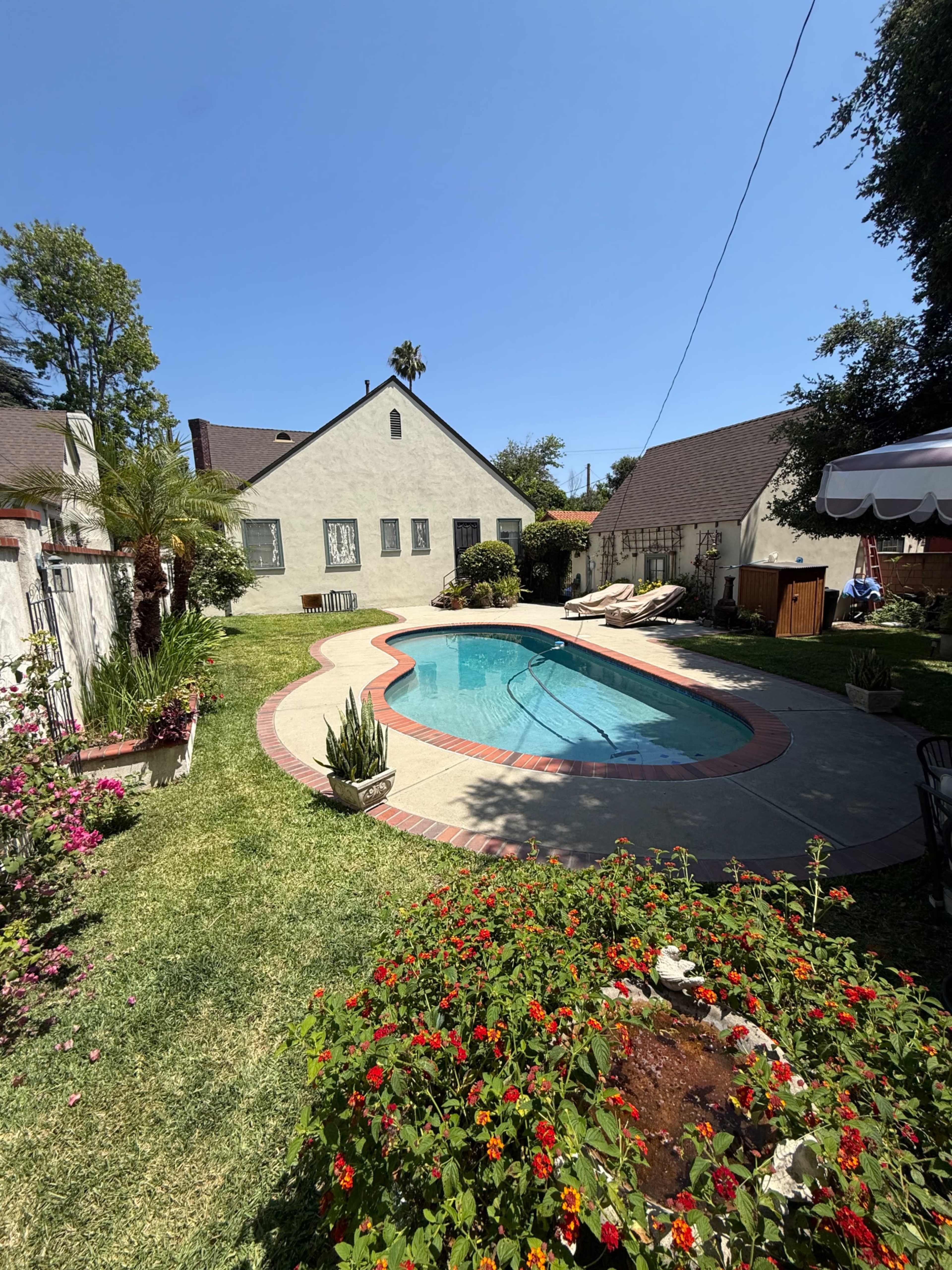 The image shows a residential backyard featuring a swimming pool surrounded by green grass, garden flowers, and a house in the background.