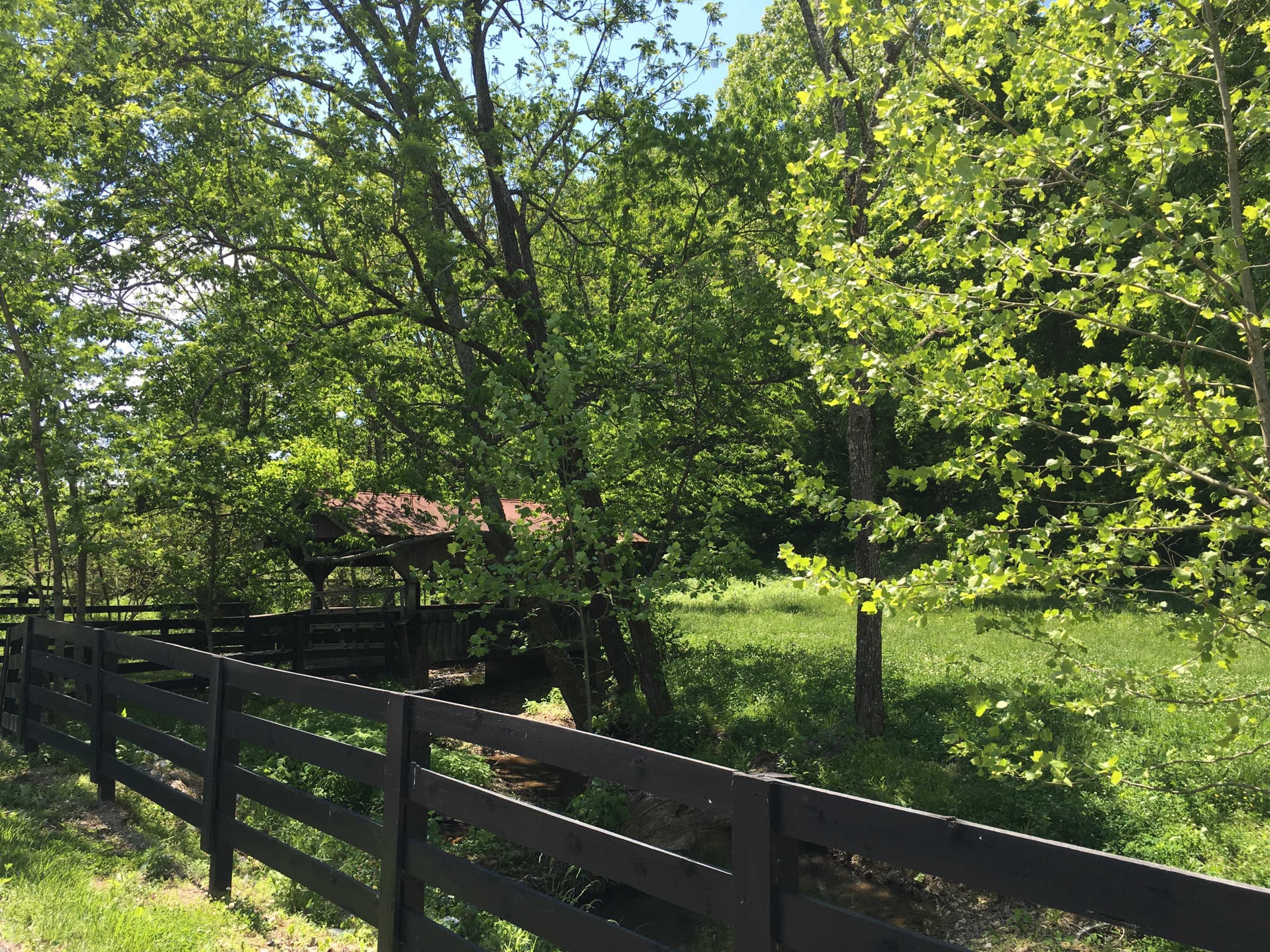 A weathered wooden shelter sits behind a black fence, surrounded by lush green trees and grass.