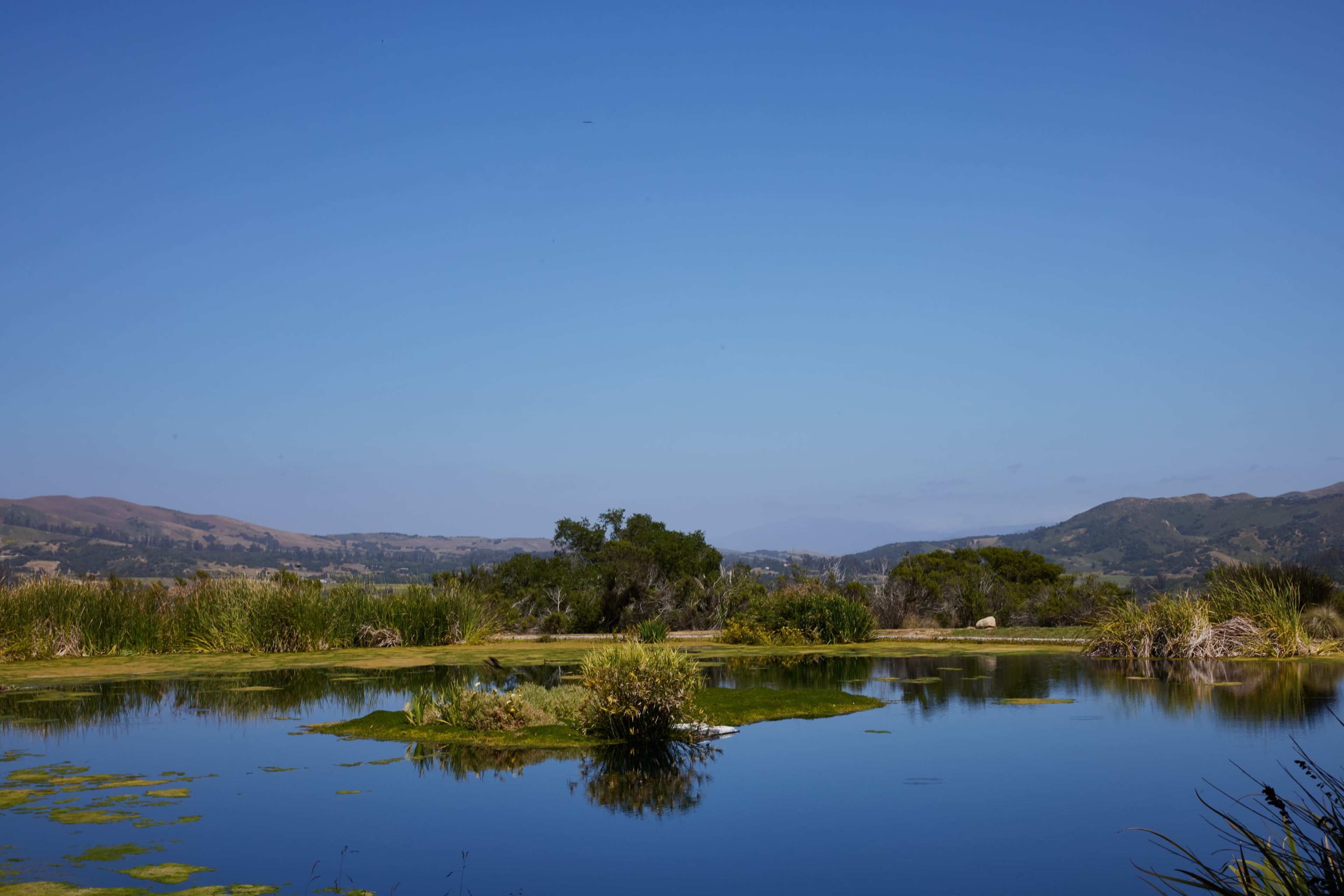 100-Acre Vineyard with Rustic Ranch Backdrops Image in , Lompoc, CA
