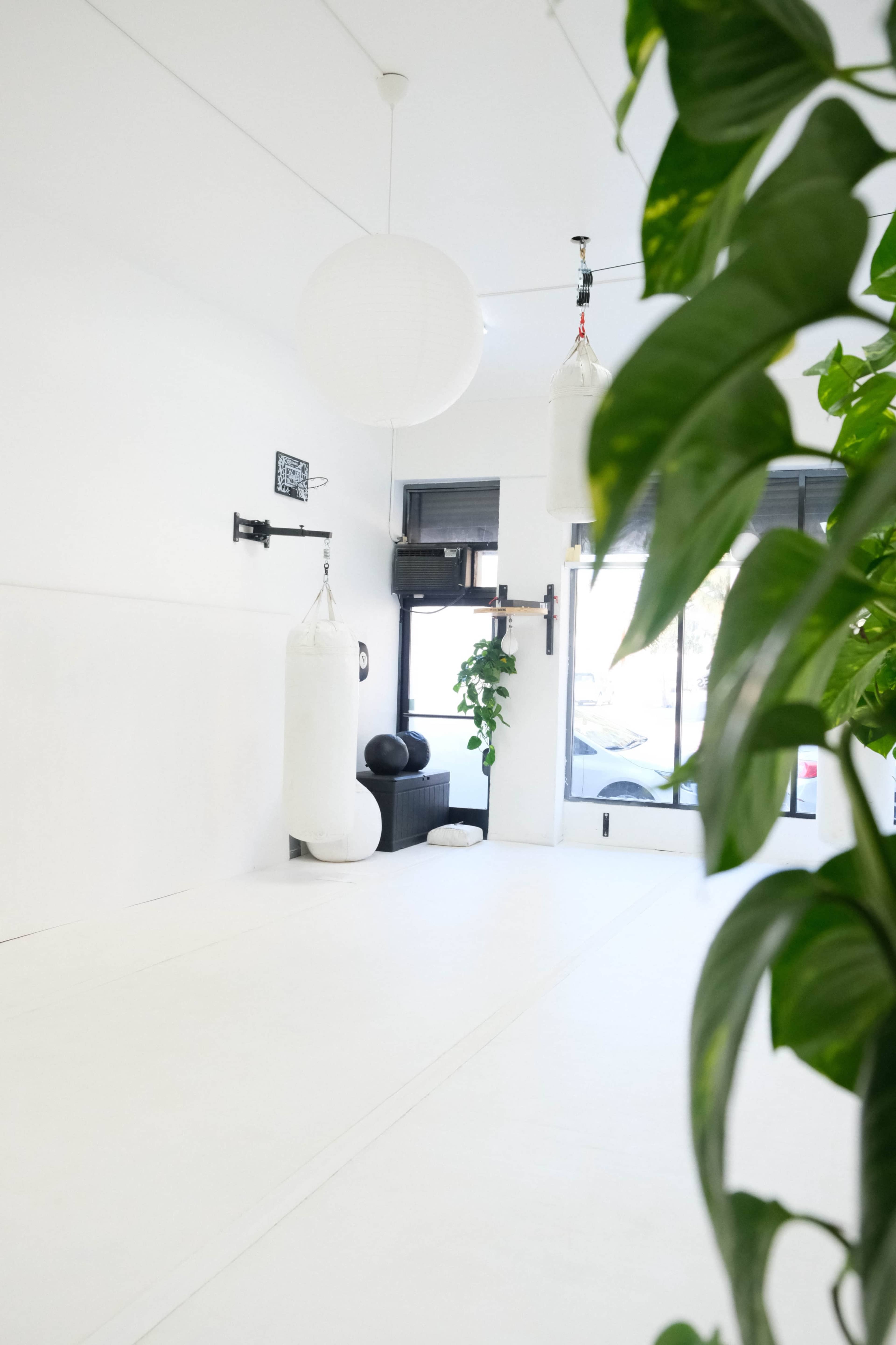 Aesthetic Gym for MMA, kickboxing, boxing, Crossfit, Jiu Jitsu and wrestling Image in Central LA, Los Angeles, CA