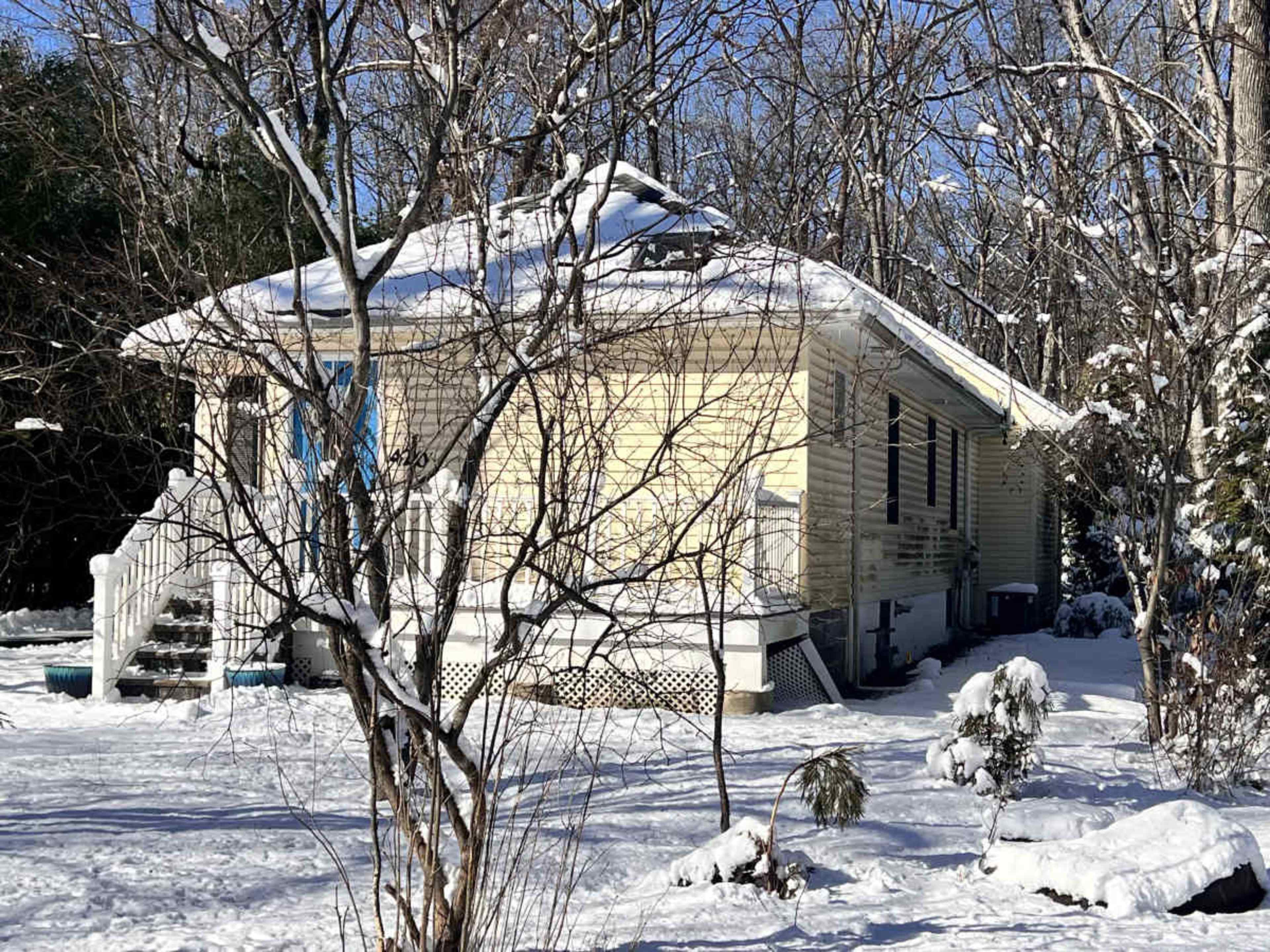 Renovated Residence with Forested Backdrop & Total Privacy Image in Princeton, Princeton, NJ
