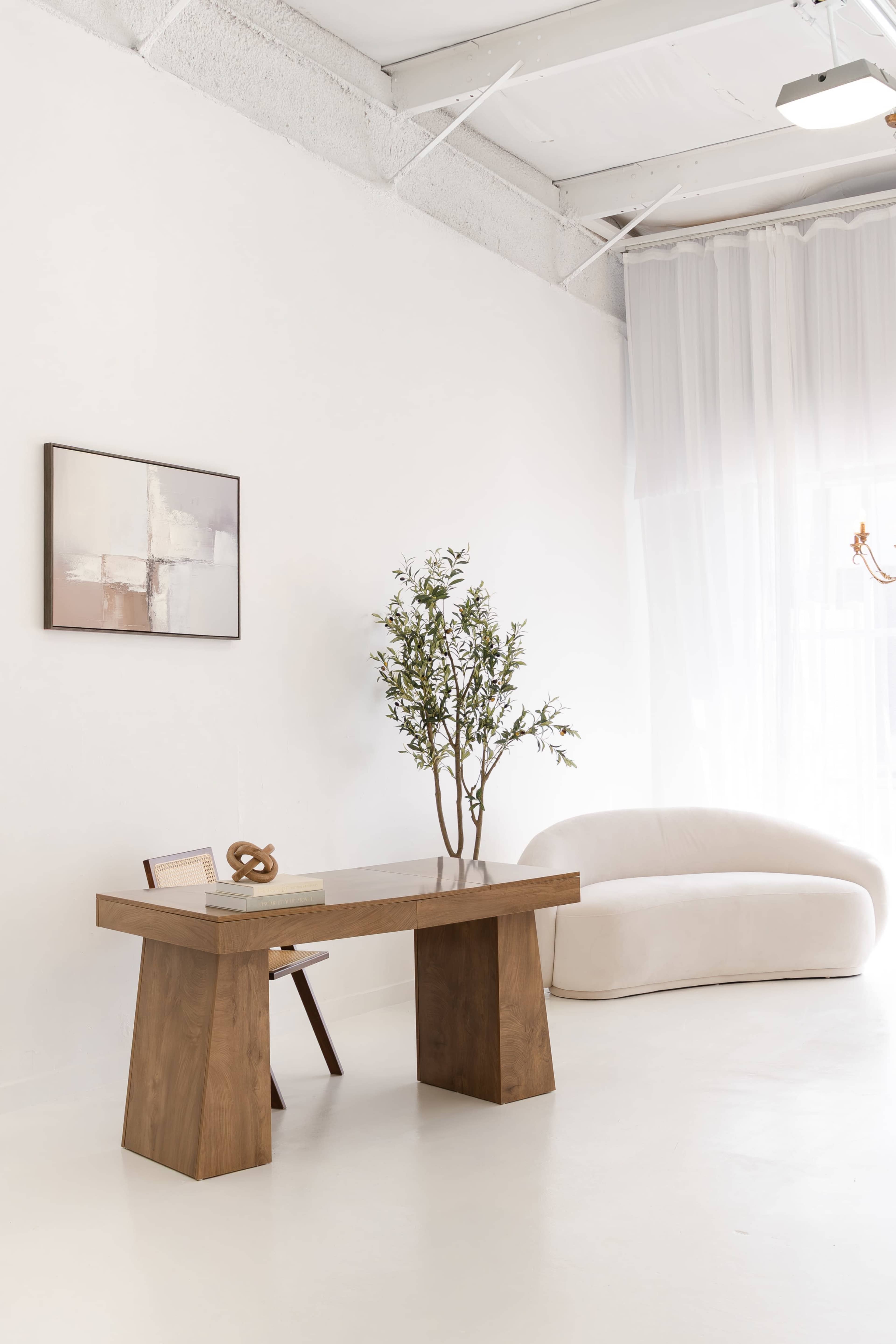 The image shows a minimalistic interior with a wooden desk, a chair, a decorative plant, and a light-colored sofa against a white wall.