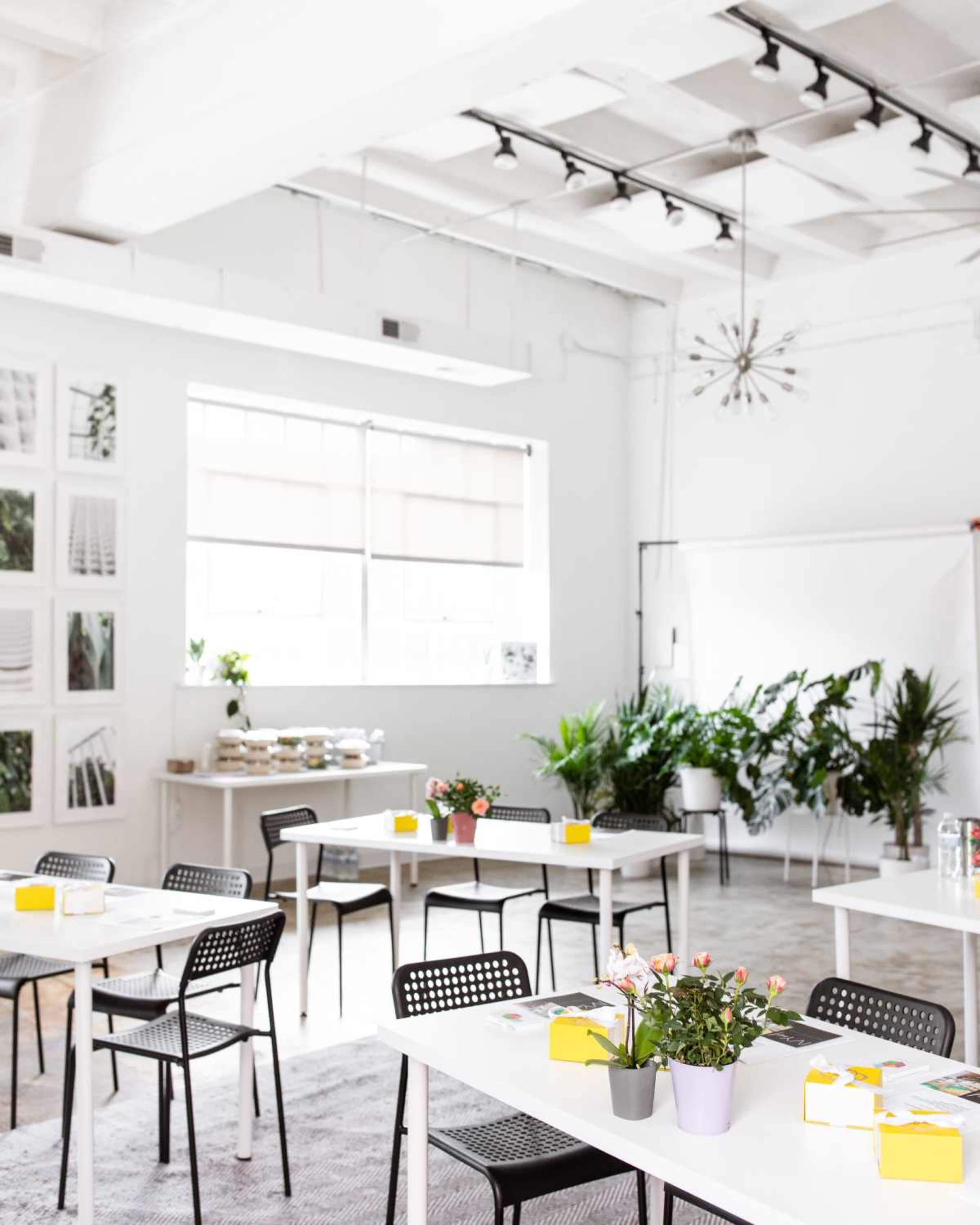 Downtown Studio with Amazing Lighting & Greenery Image in Northwest Washington, Washington, DC