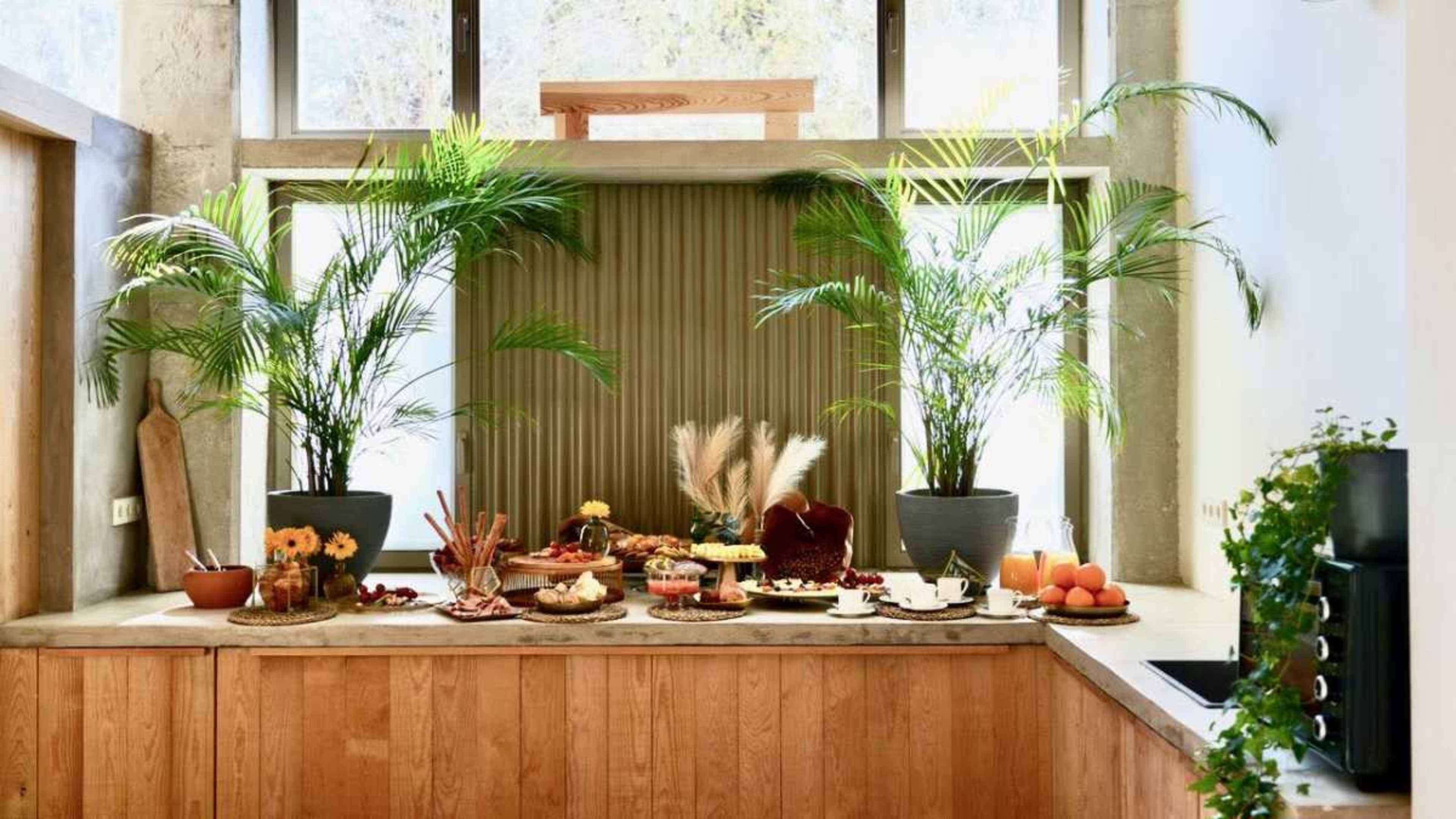 A kitchen countertop is decorated with various types of food and drinks, flanked by large potted plants and large windows that let in natural light.