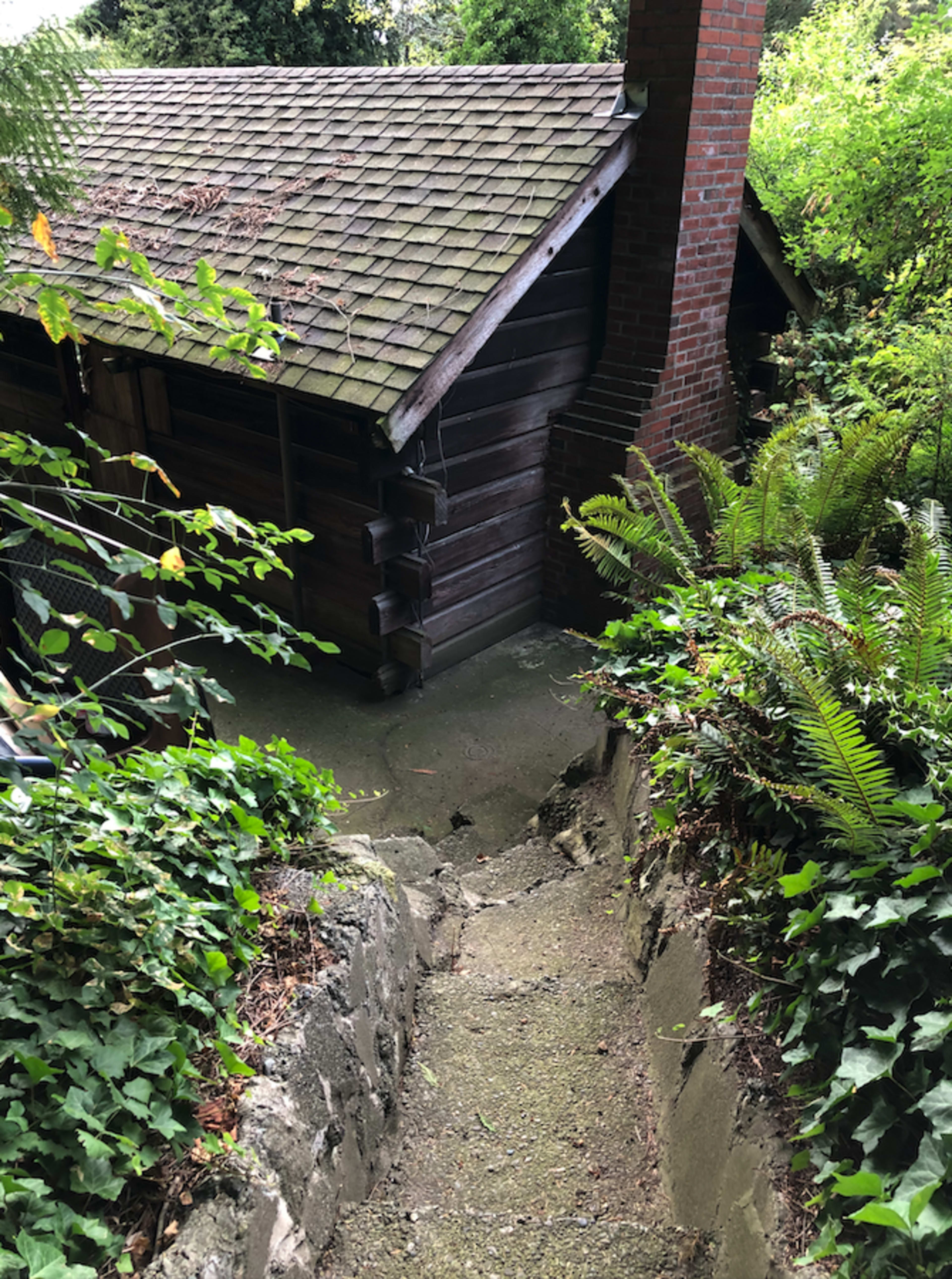 A narrow stone path descends through greenery toward a wooden cabin with a sloped roof.
