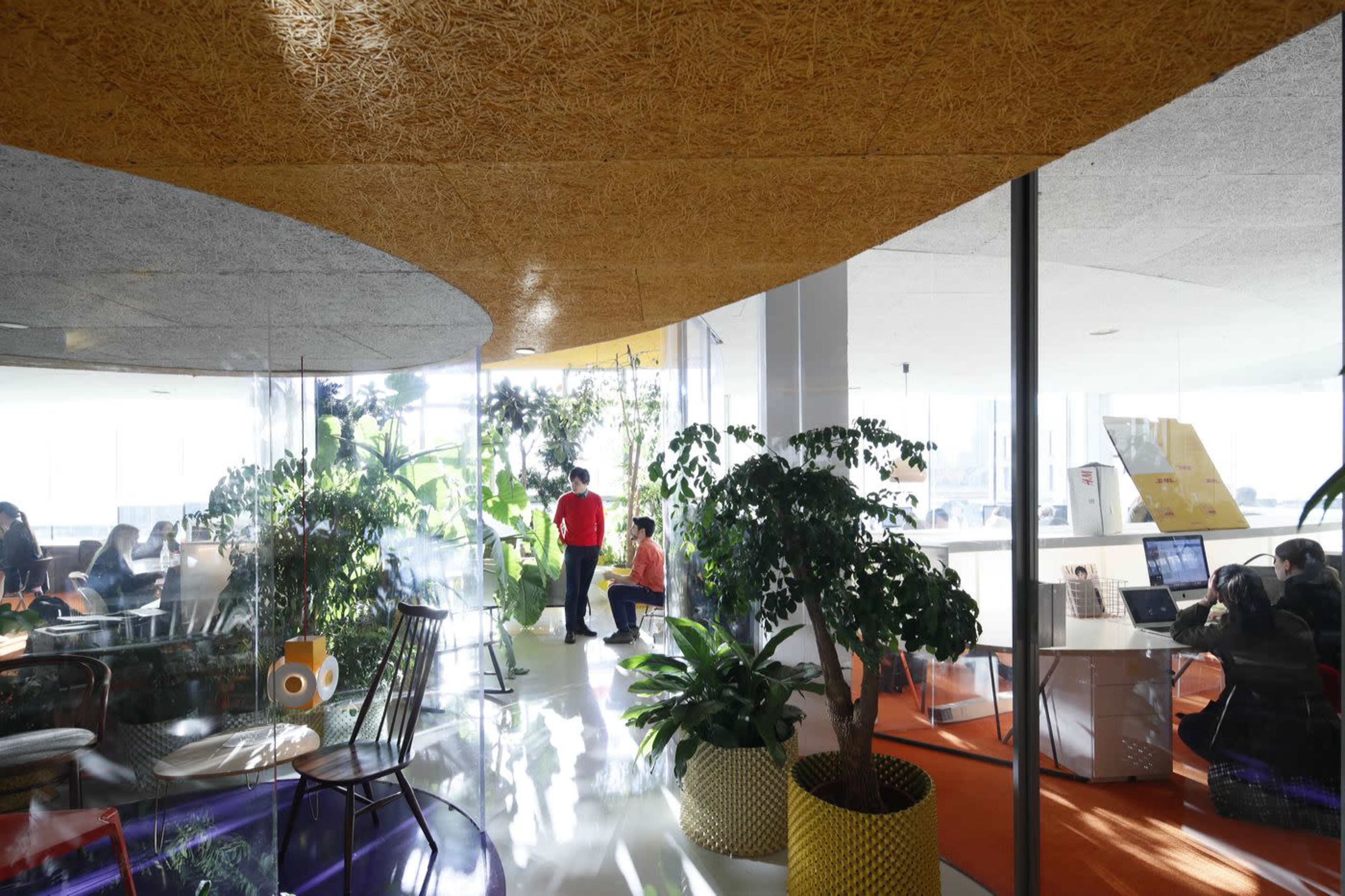 The image shows a modern office space with large windows, green plants, and various seating arrangements, creating a vibrant working environment.