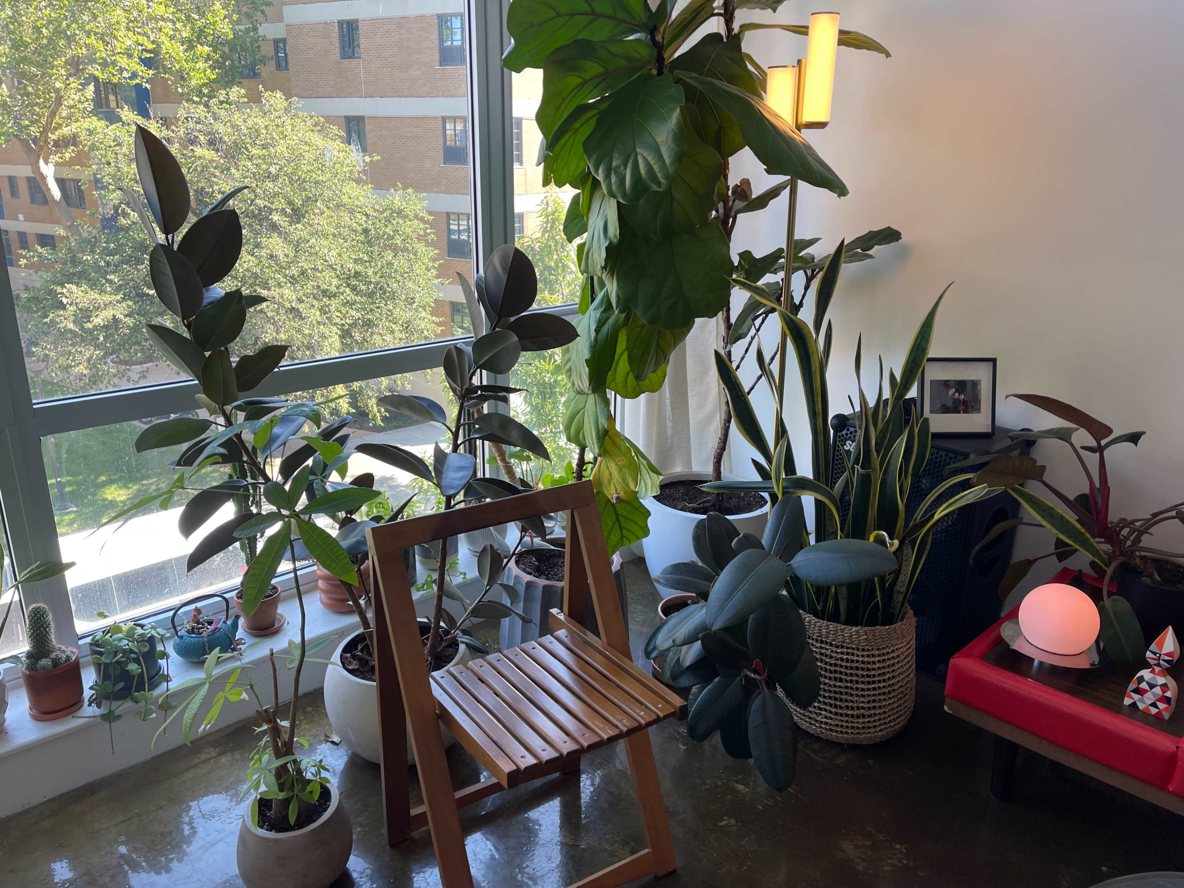 Williamsburg Loft with Natural Daylight Image in Williamsburg, Brooklyn, NY