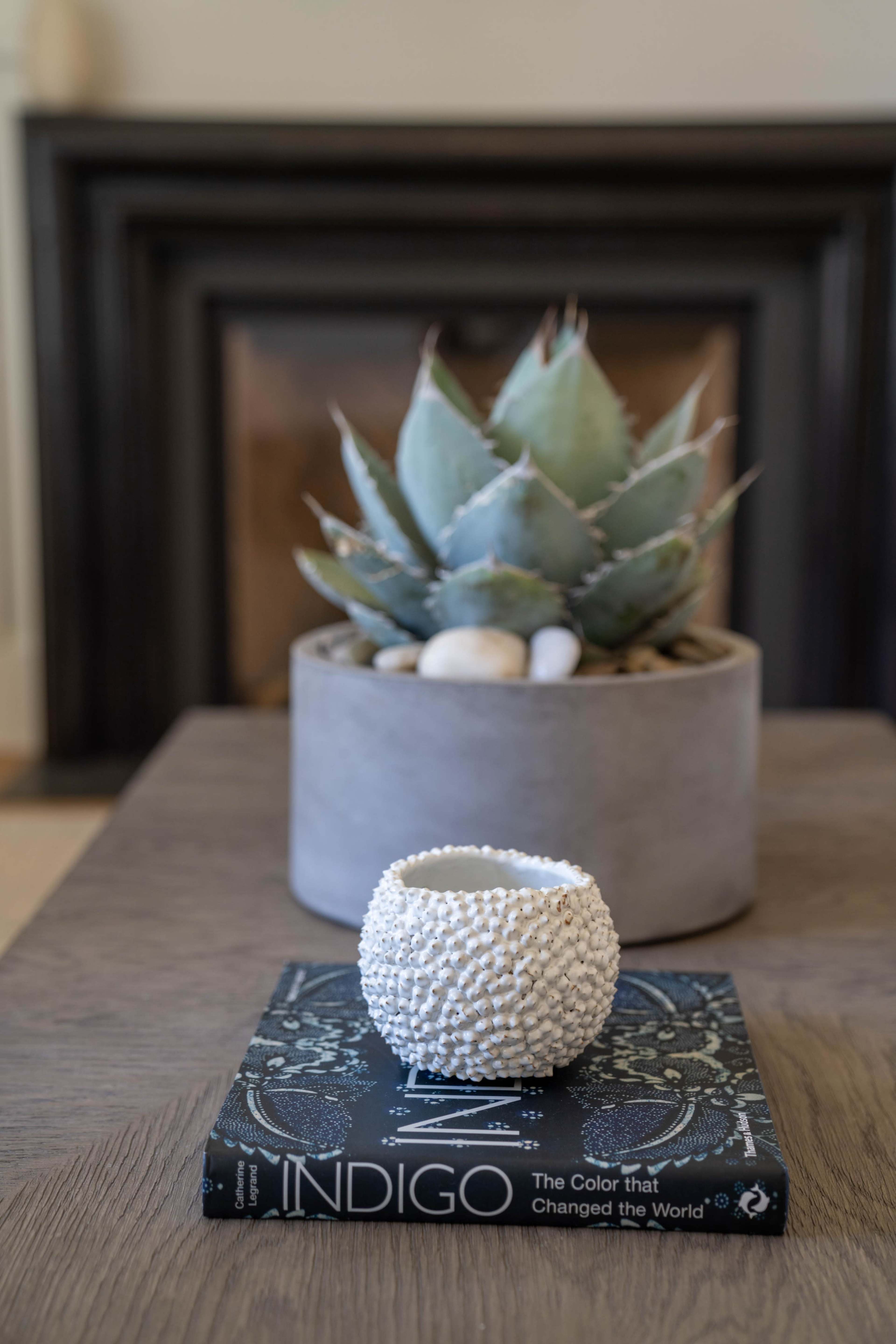 A textured white candle holder sits atop a book titled "INDIGO: The Color that Changed the World," next to a potted succulent on a wooden table.