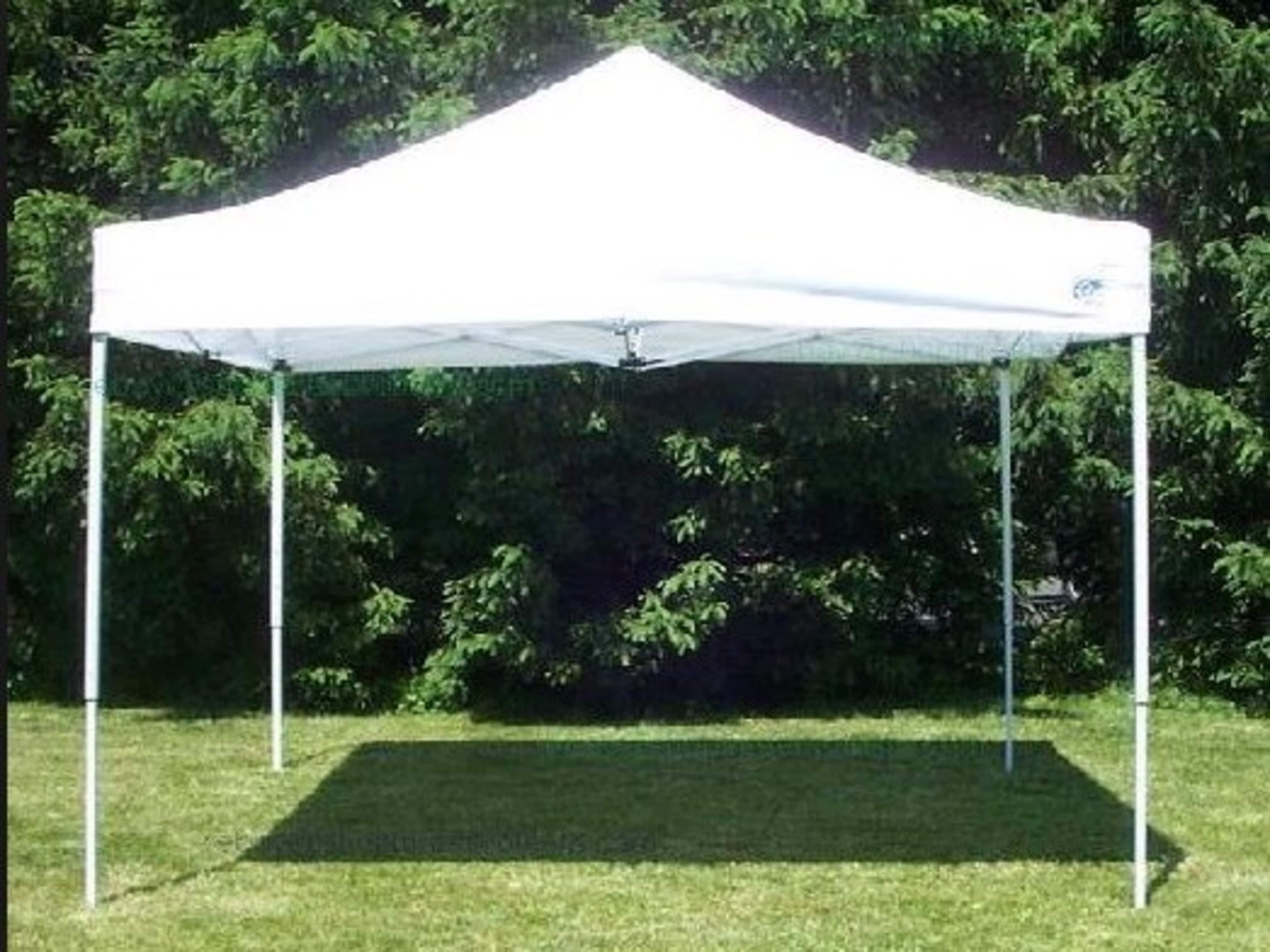 10 x 10 canopy