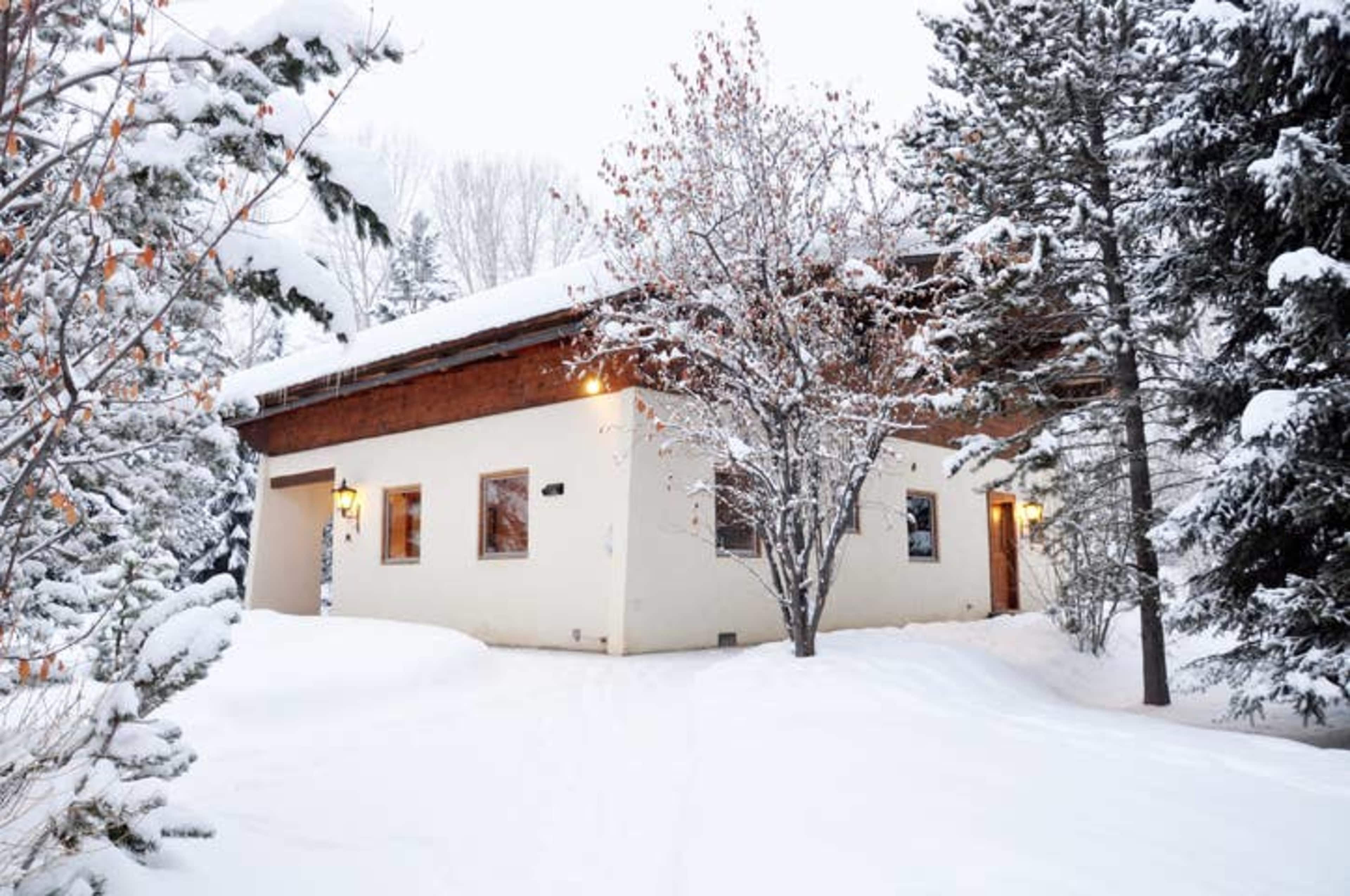 A snow-covered house is surrounded by trees in a winter landscape.