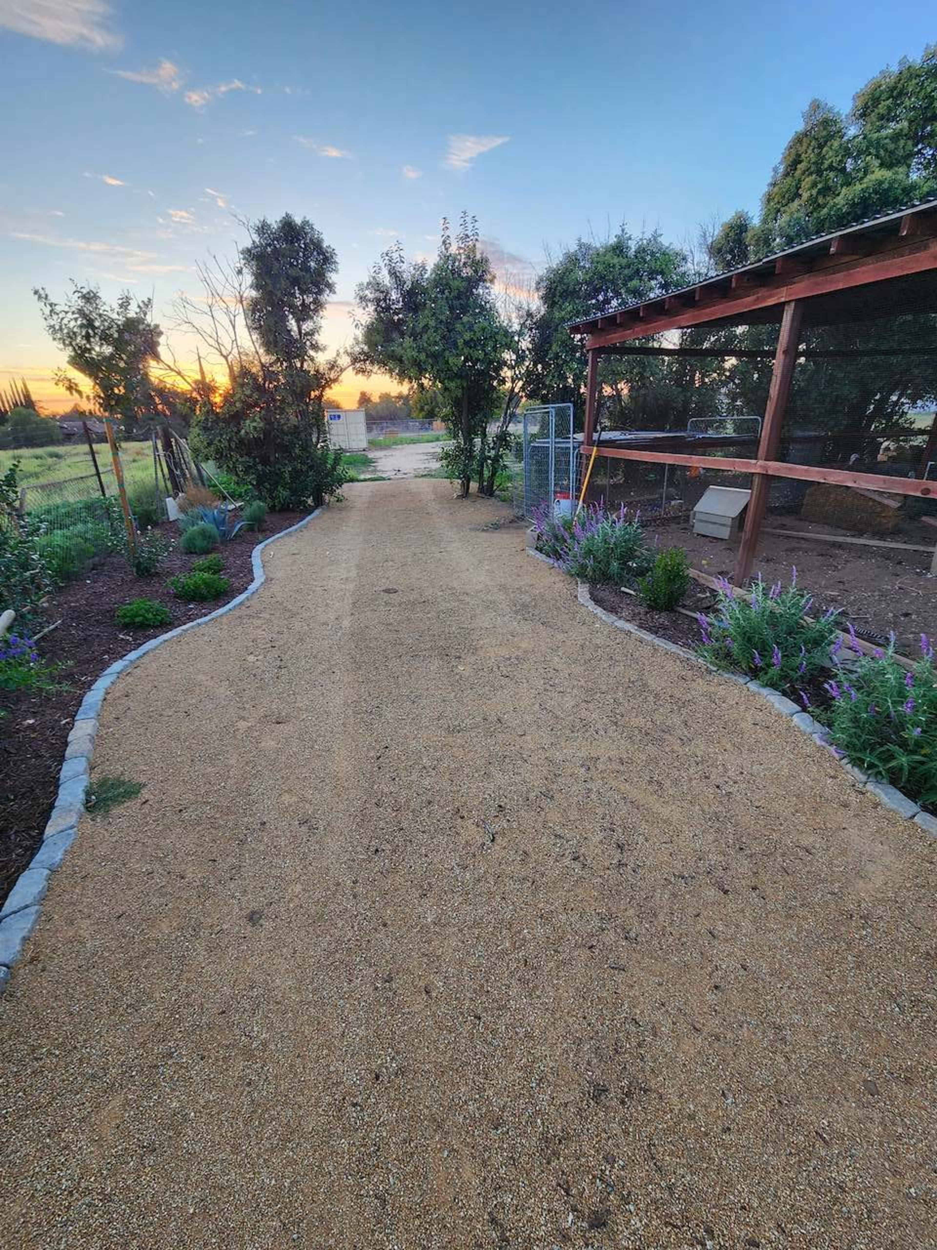 A gravel path winds through a landscaped garden with plants on either side, leading toward a wooden structure at sunset.