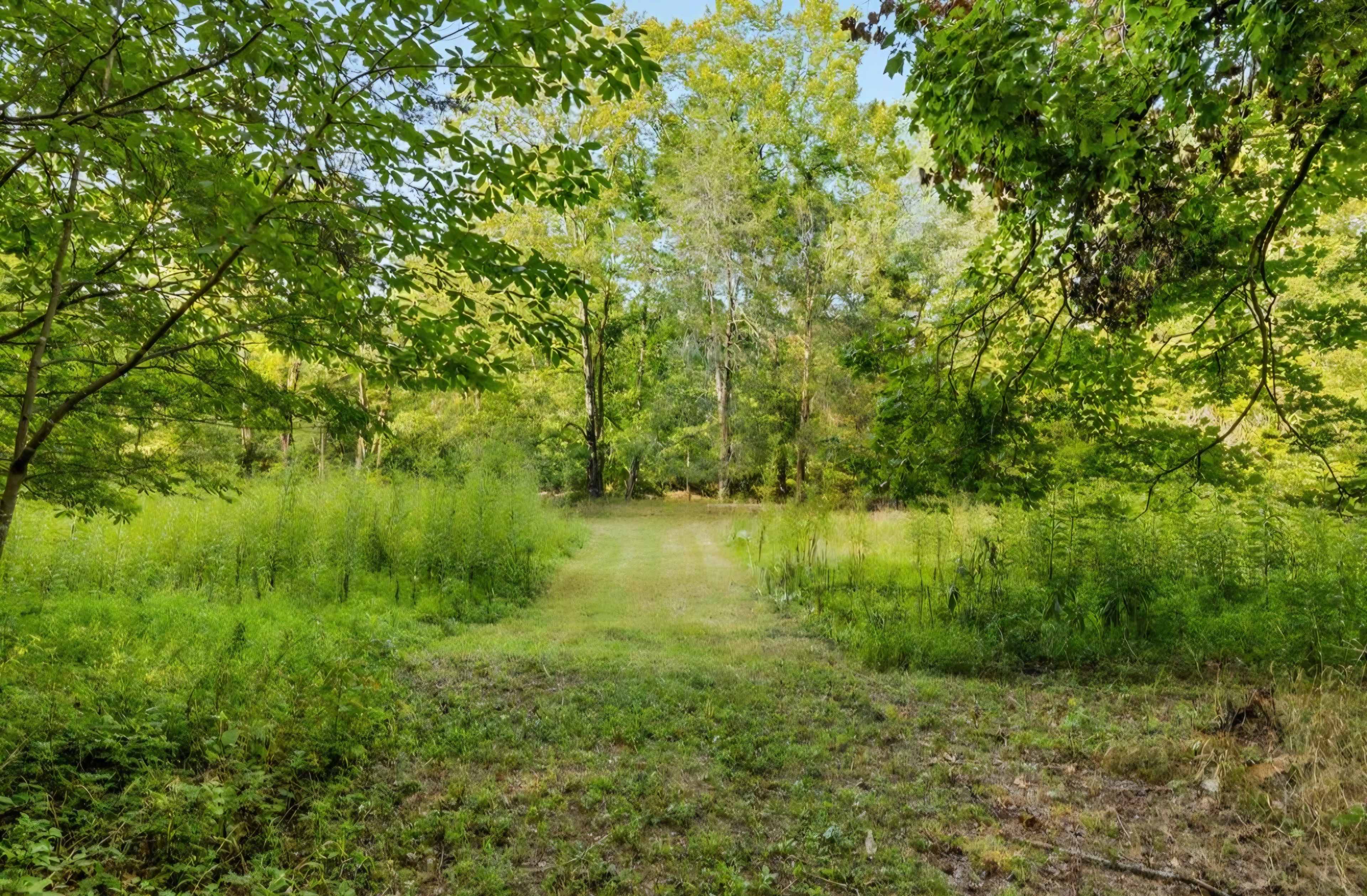 Creekside Land Rental for Film, Photography & Small Events Image in Hermitage, Hermitage, TN