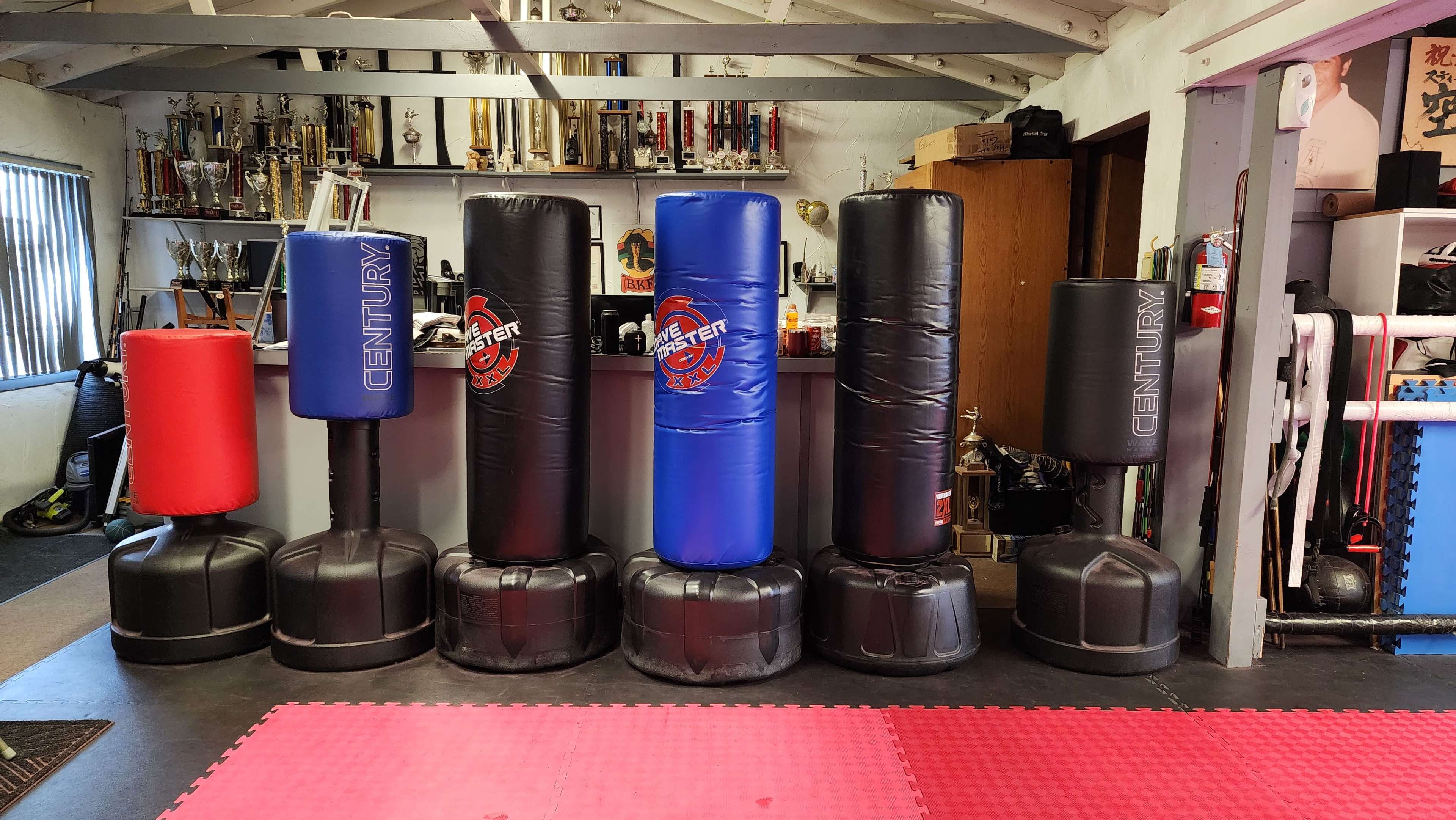 The image shows a row of colorful punching bags against a wall in a gym, with trophies displayed on shelves in the background.
