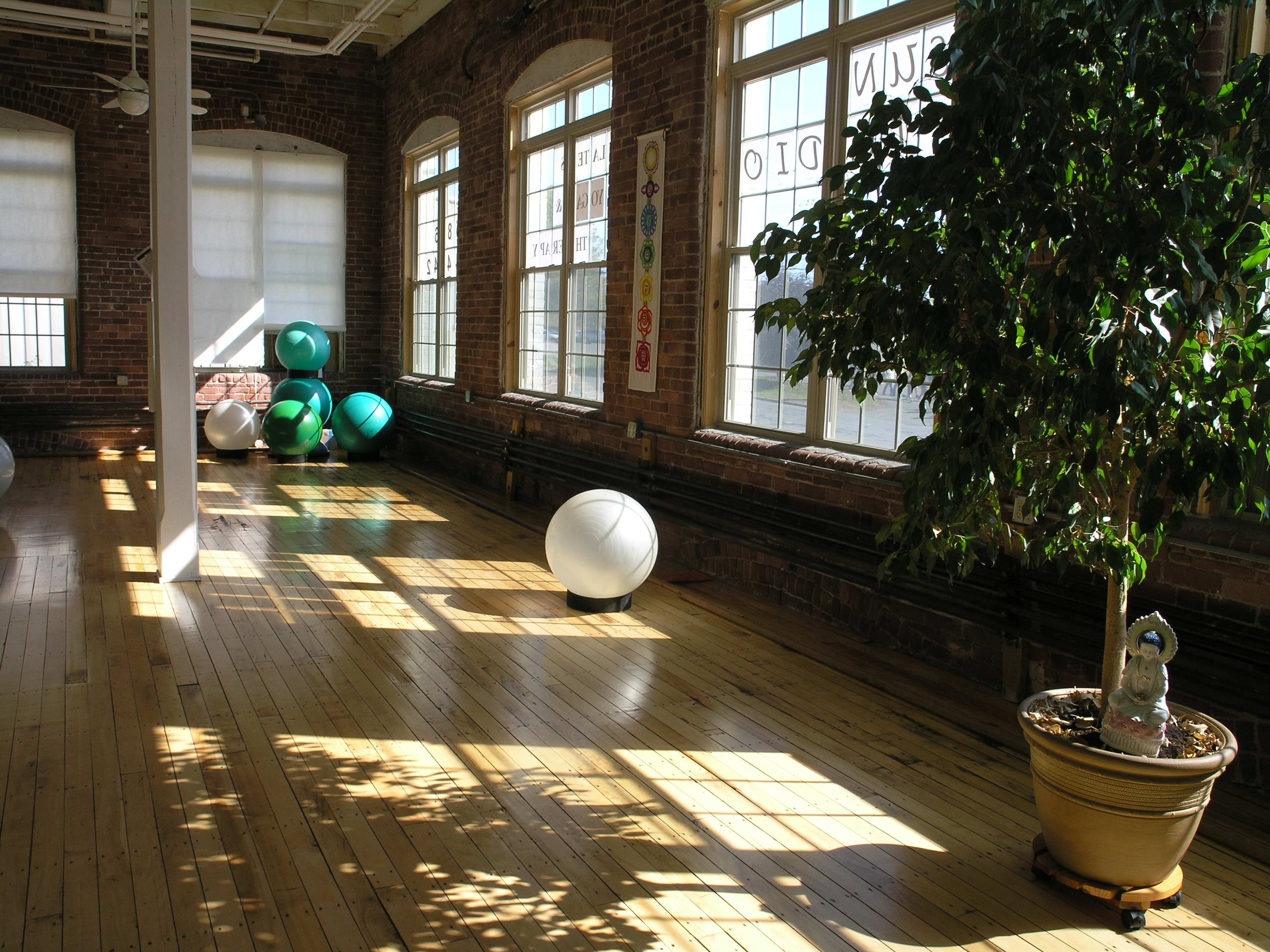 A sunlit exercise studio with wooden flooring, large windows, and several exercise balls in the background beside a potted plant.