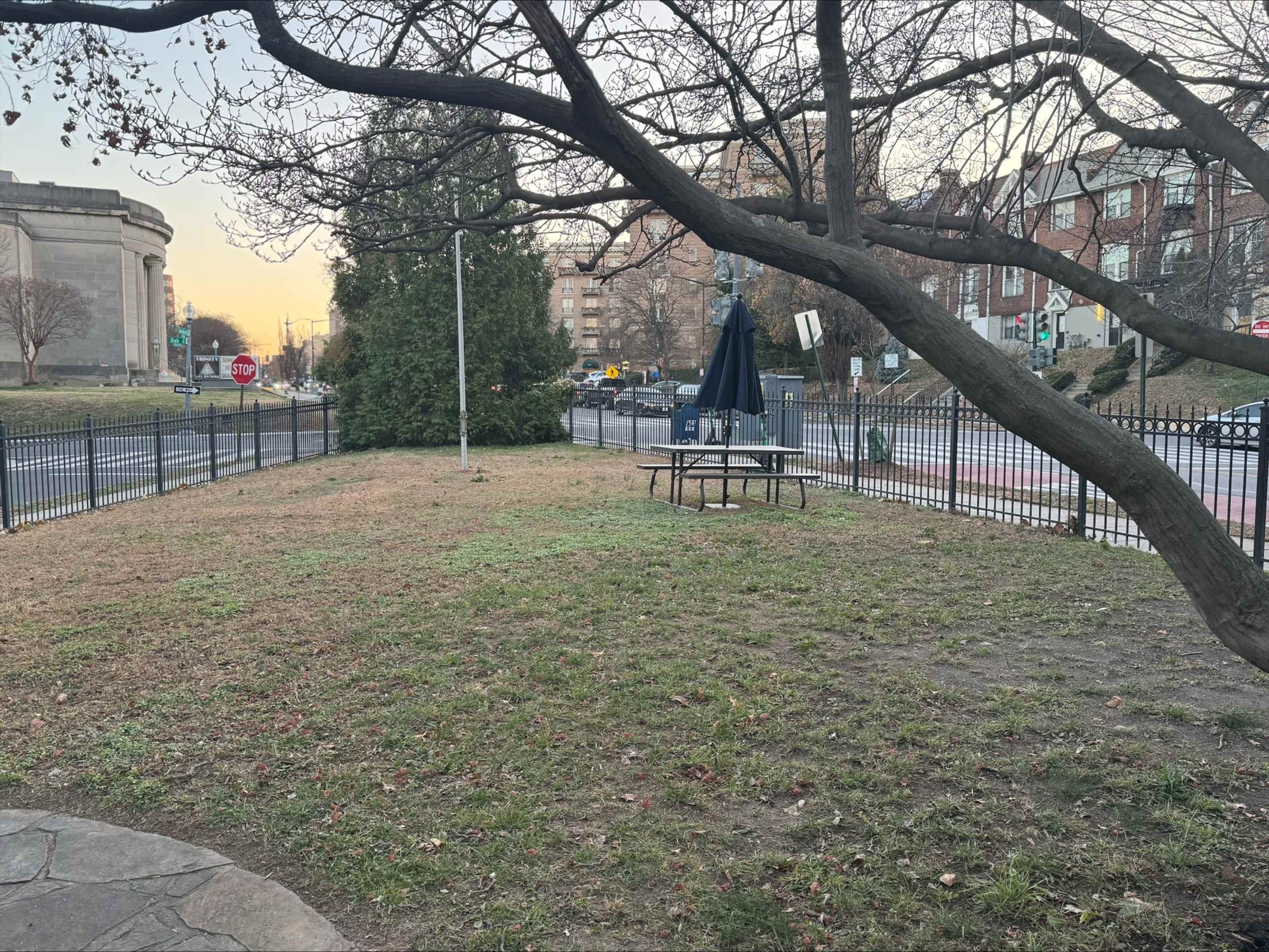 The image shows a grassy area with a picnic table and an umbrella, bordered by a fence and a road in the background.