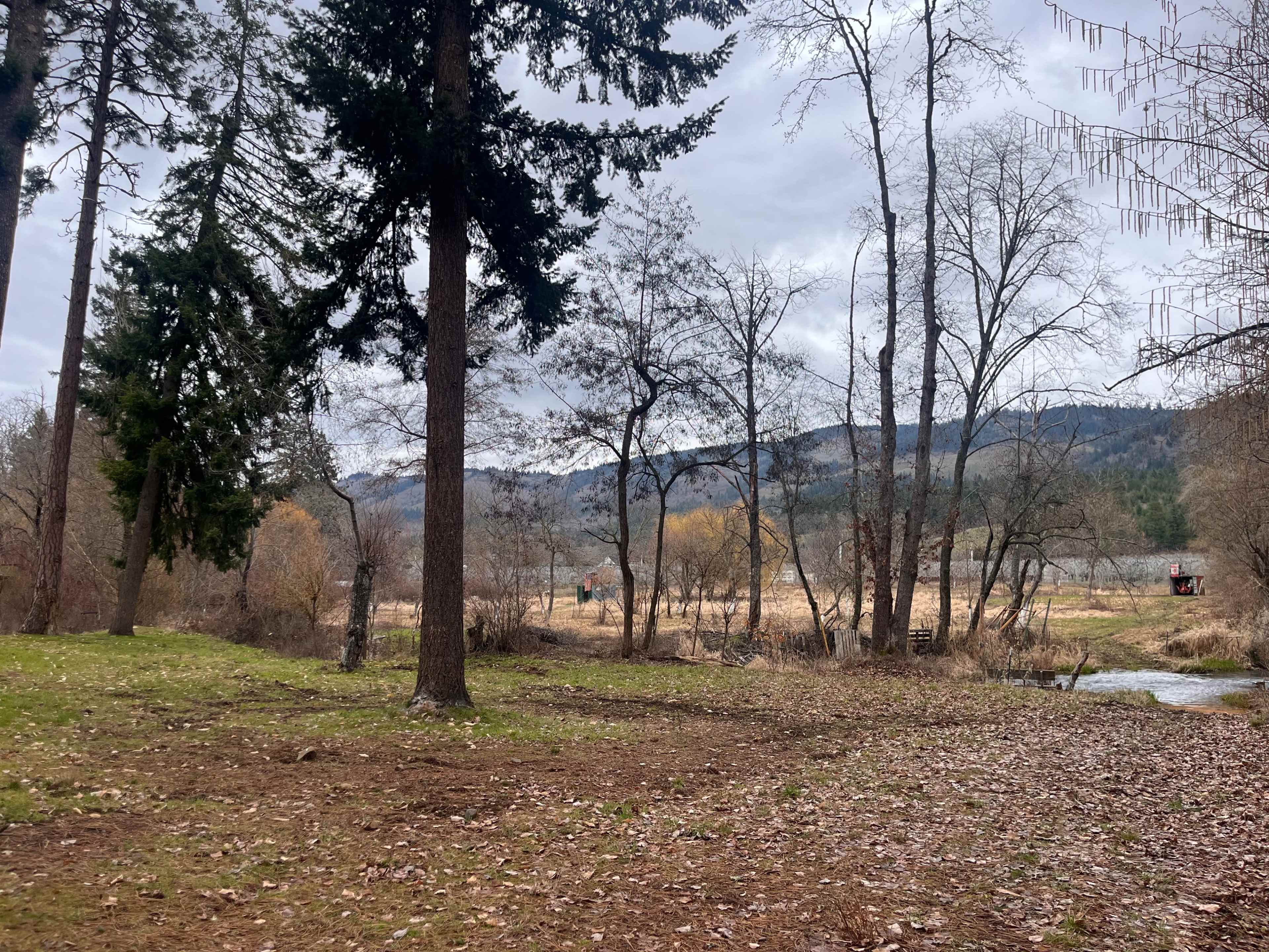 A view of a riverside area featuring trees, bare branches, and a distant mountainous landscape under a cloudy sky.