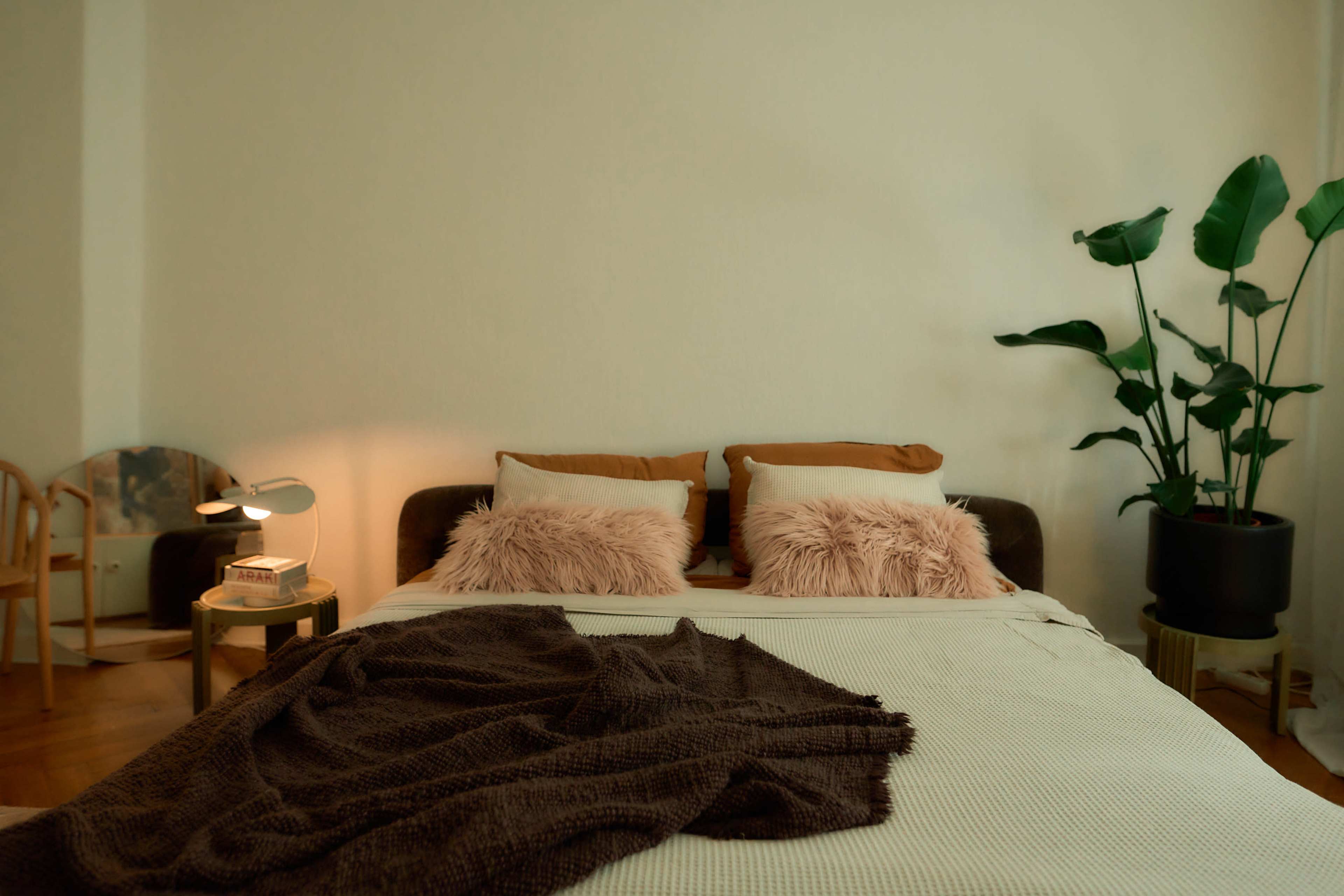 A neatly arranged bedroom features a bed with plush pillows, a cozy blanket, a bedside lamp, and a large potted plant.