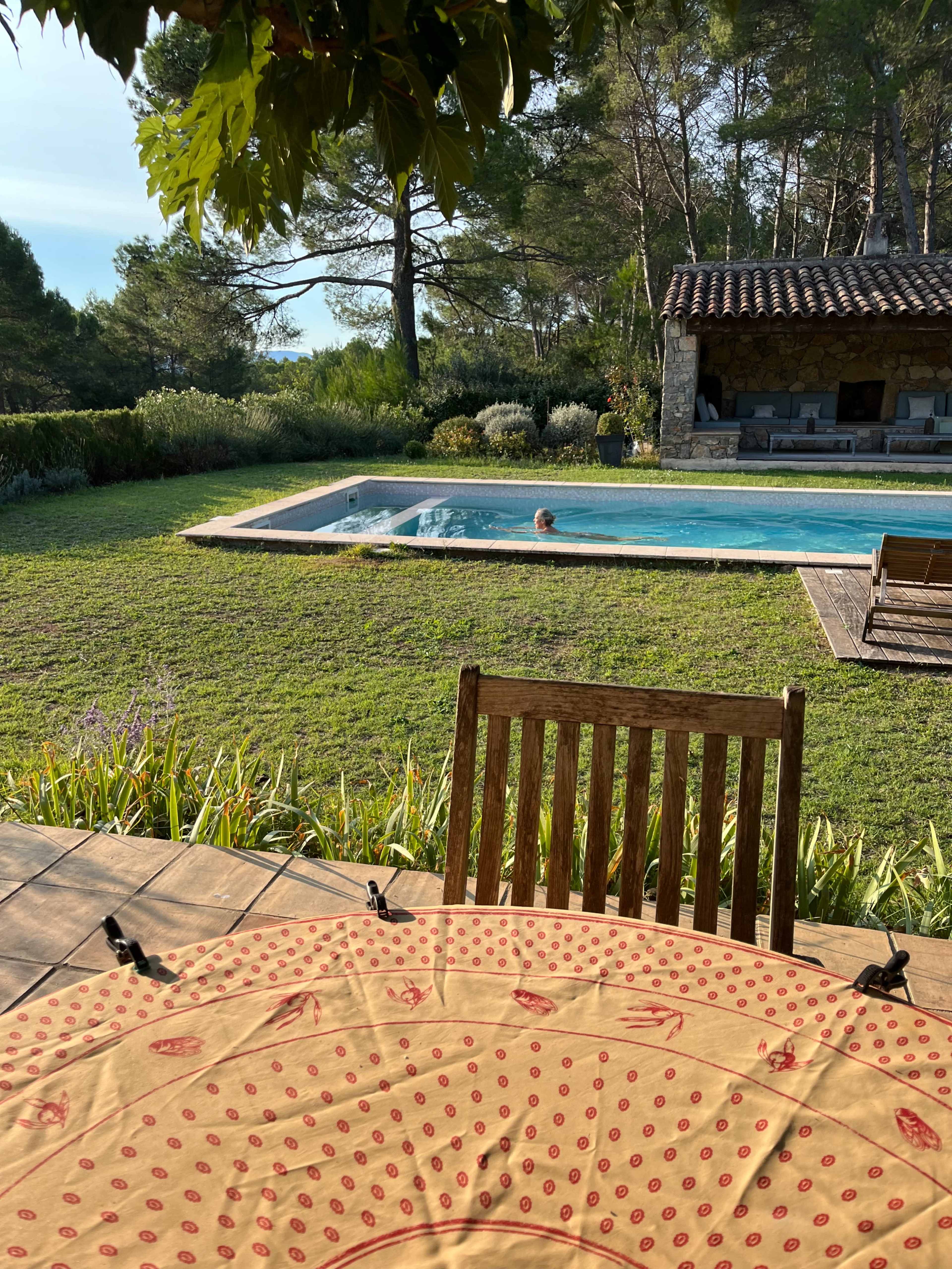A person swims in a clear pool surrounded by greenery and a stone structure in a sunny garden.