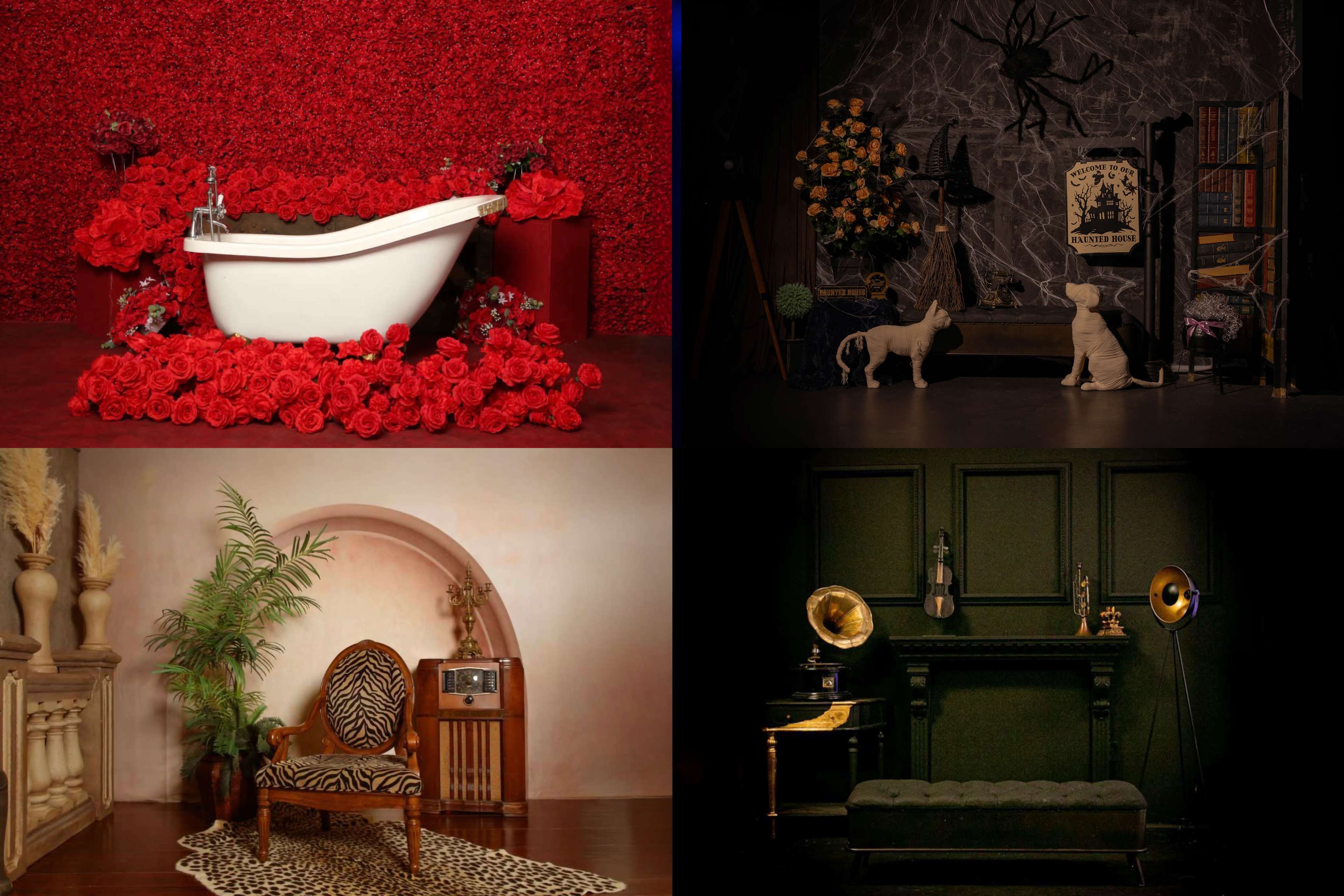 The image features four distinct scenes: the top left displays a white bathtub surrounded by red roses, the top right shows a dark room with decorative elements including a spider and plants, the bottom left features an ornate chair alongside a vintage radio, and the bottom right includes a vintage setup with gramophones and musical