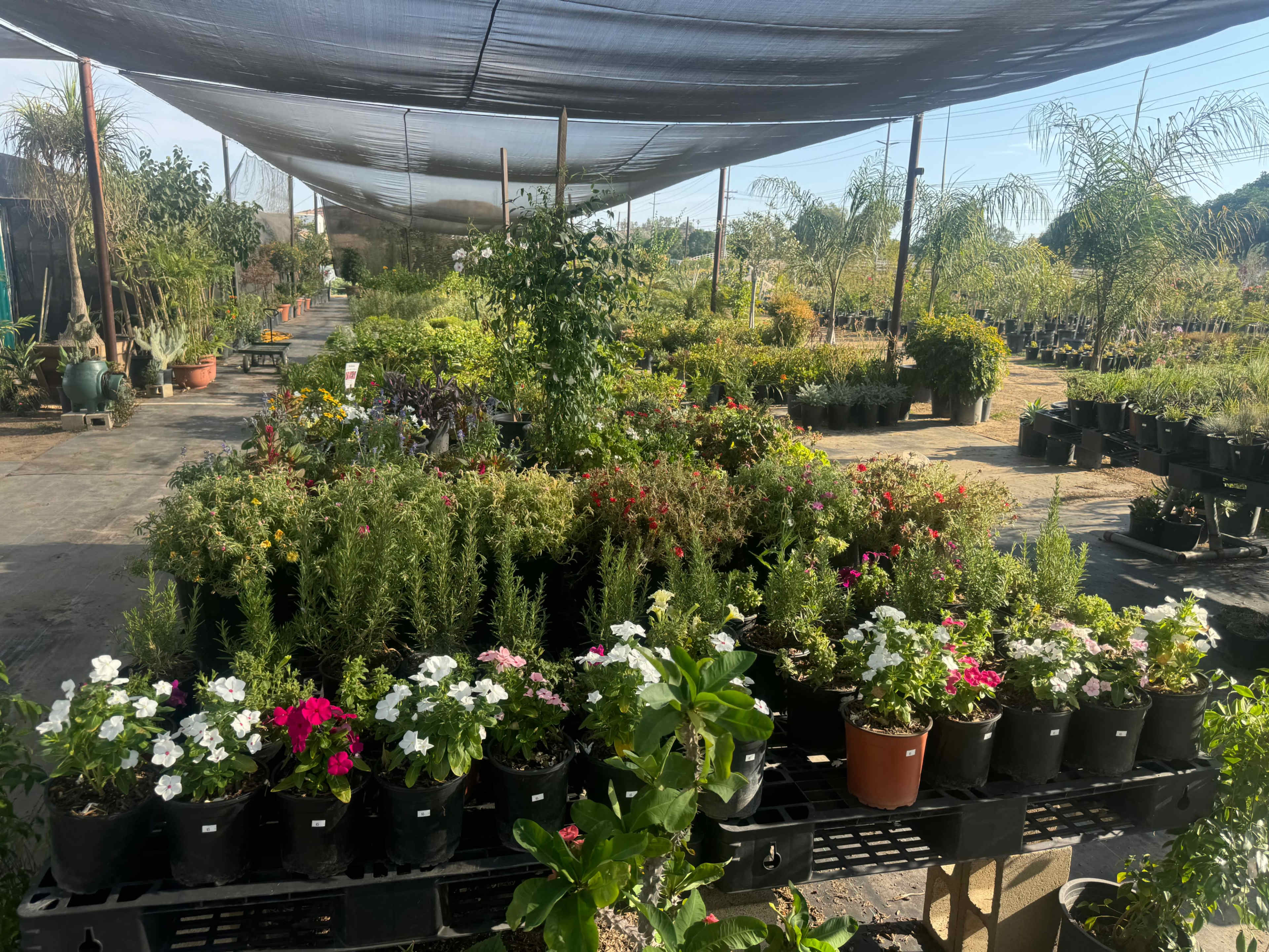 Rural feel - country/desert land with a plant nursery! Image in , Menifee, CA