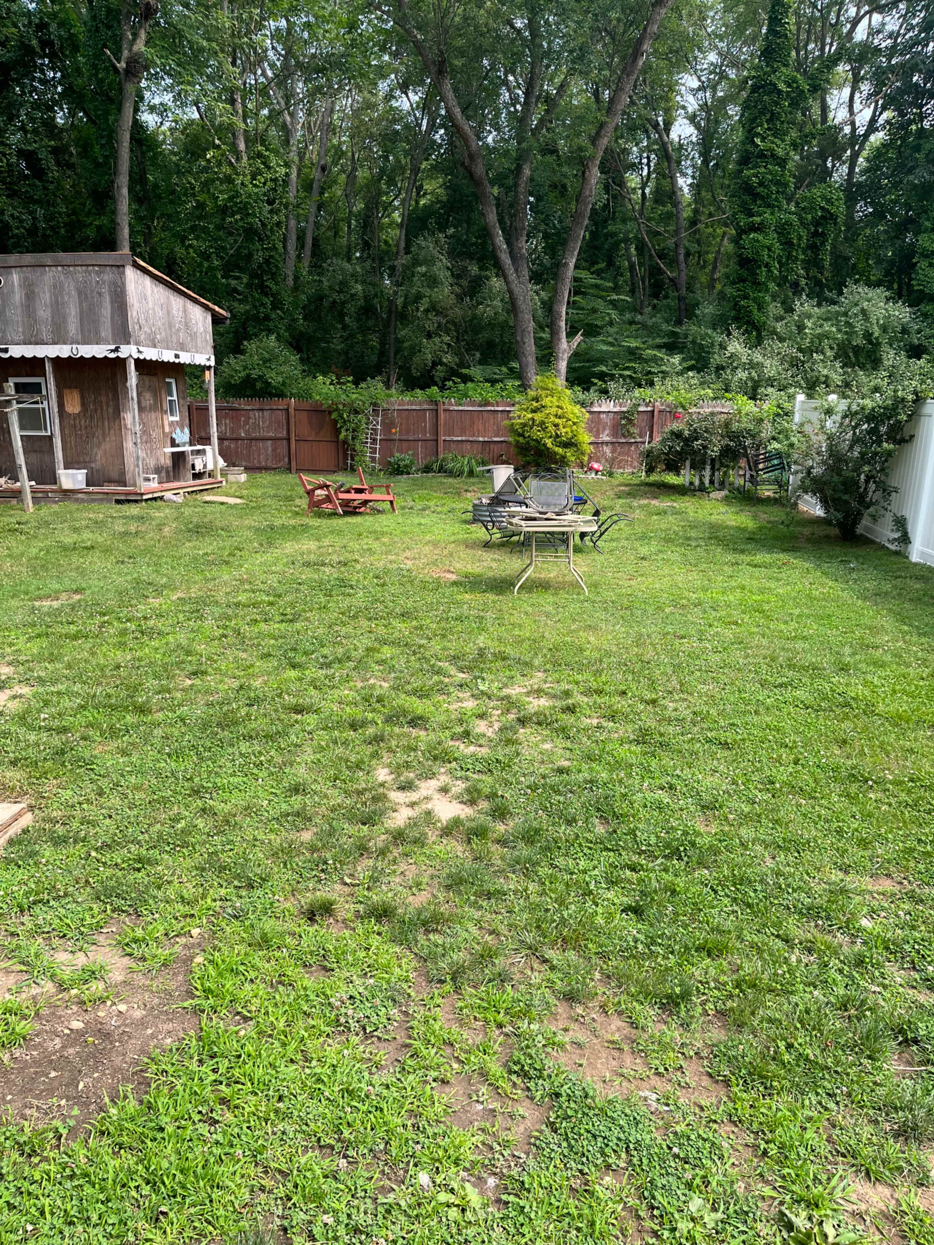 A grassy backyard with a wooden shed, a patio table and chairs, and a few trees along the perimeter.