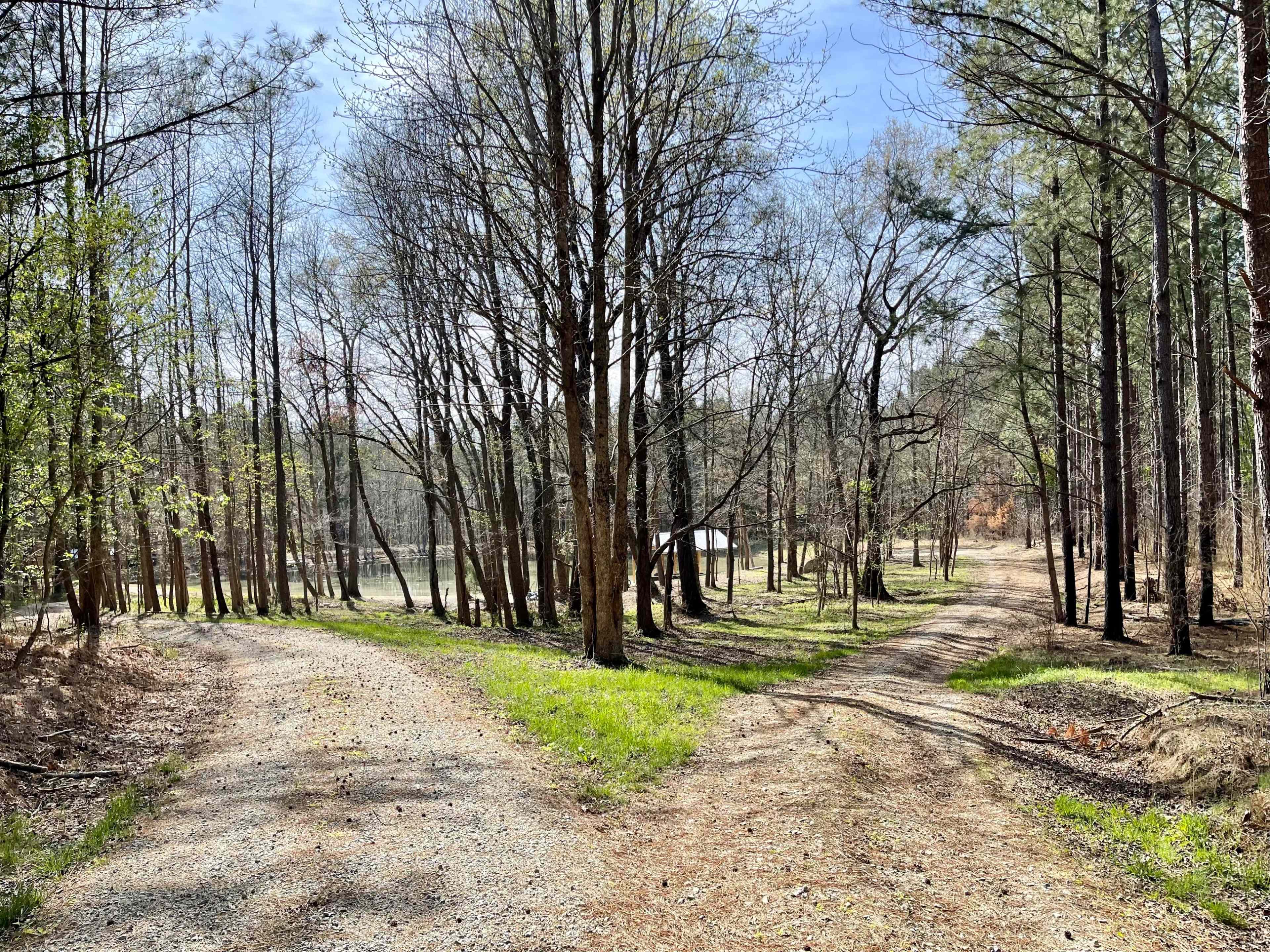 A gravel path splits into two directions among trees and greenery in a wooded area.
