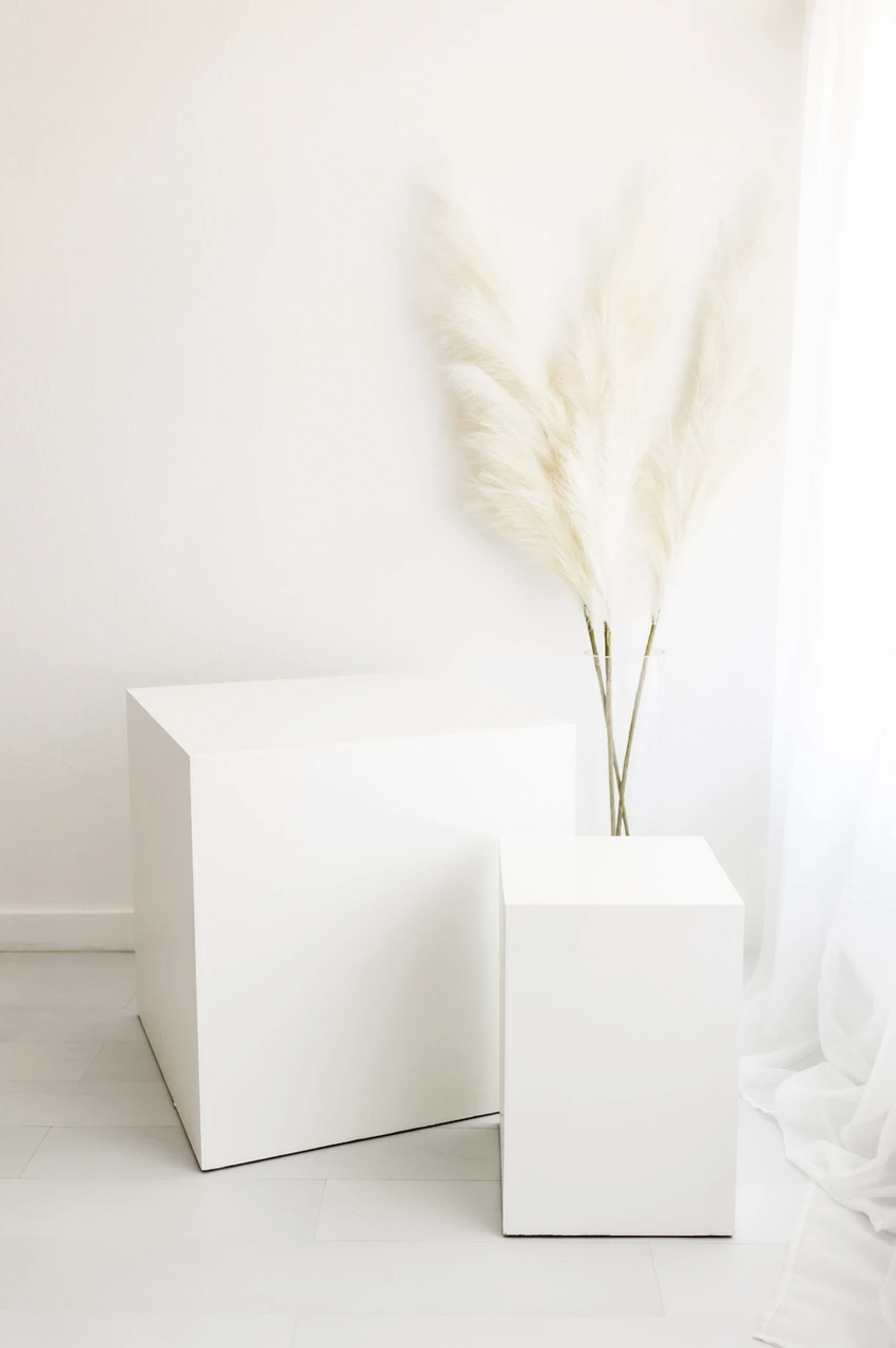 Two white, cubic boxes are positioned next to each other with dried pampas grass in a vase behind them against a light background.