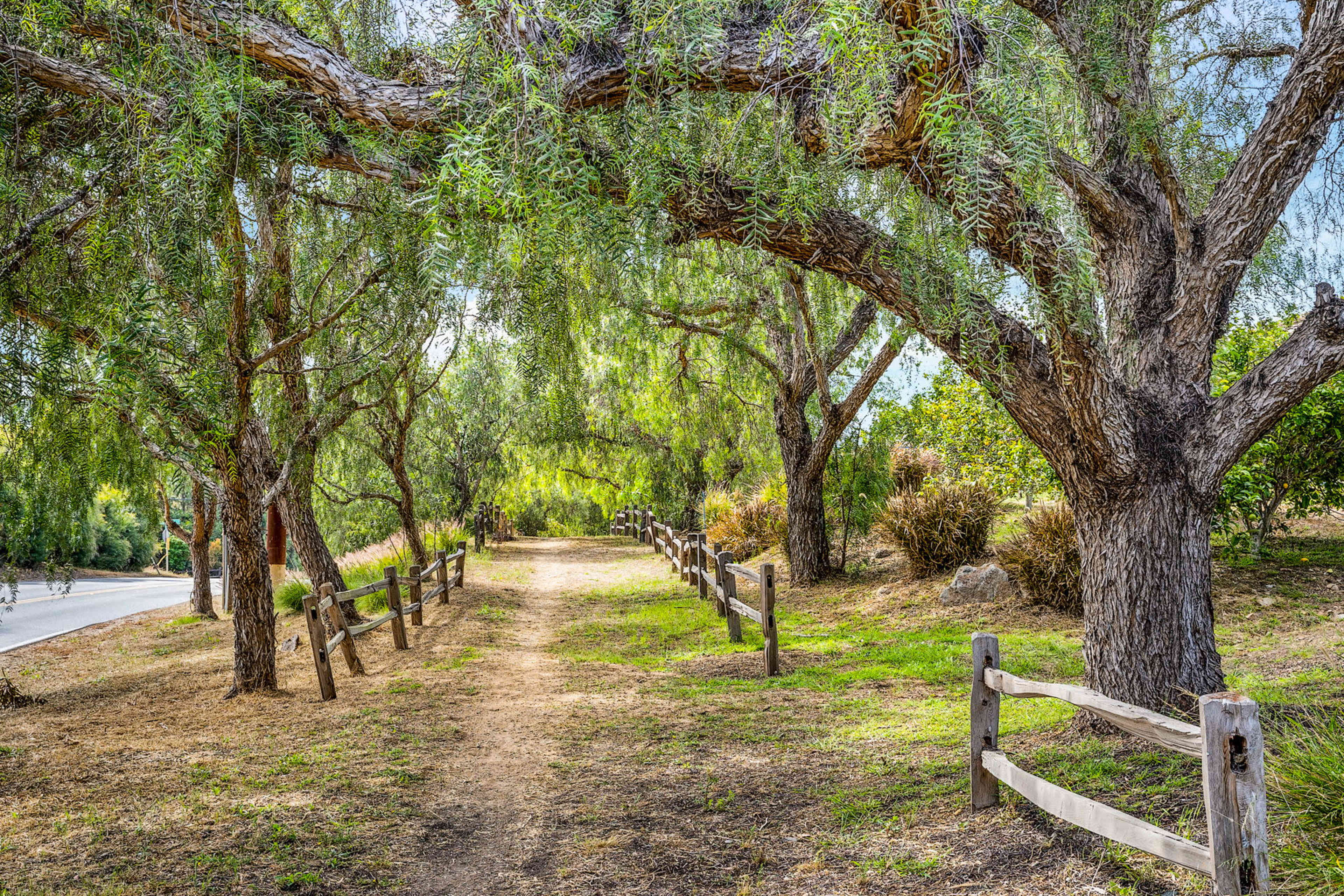 The image shows a dirt path lined by large trees and a wooden fence, set in a green landscape beside a road.