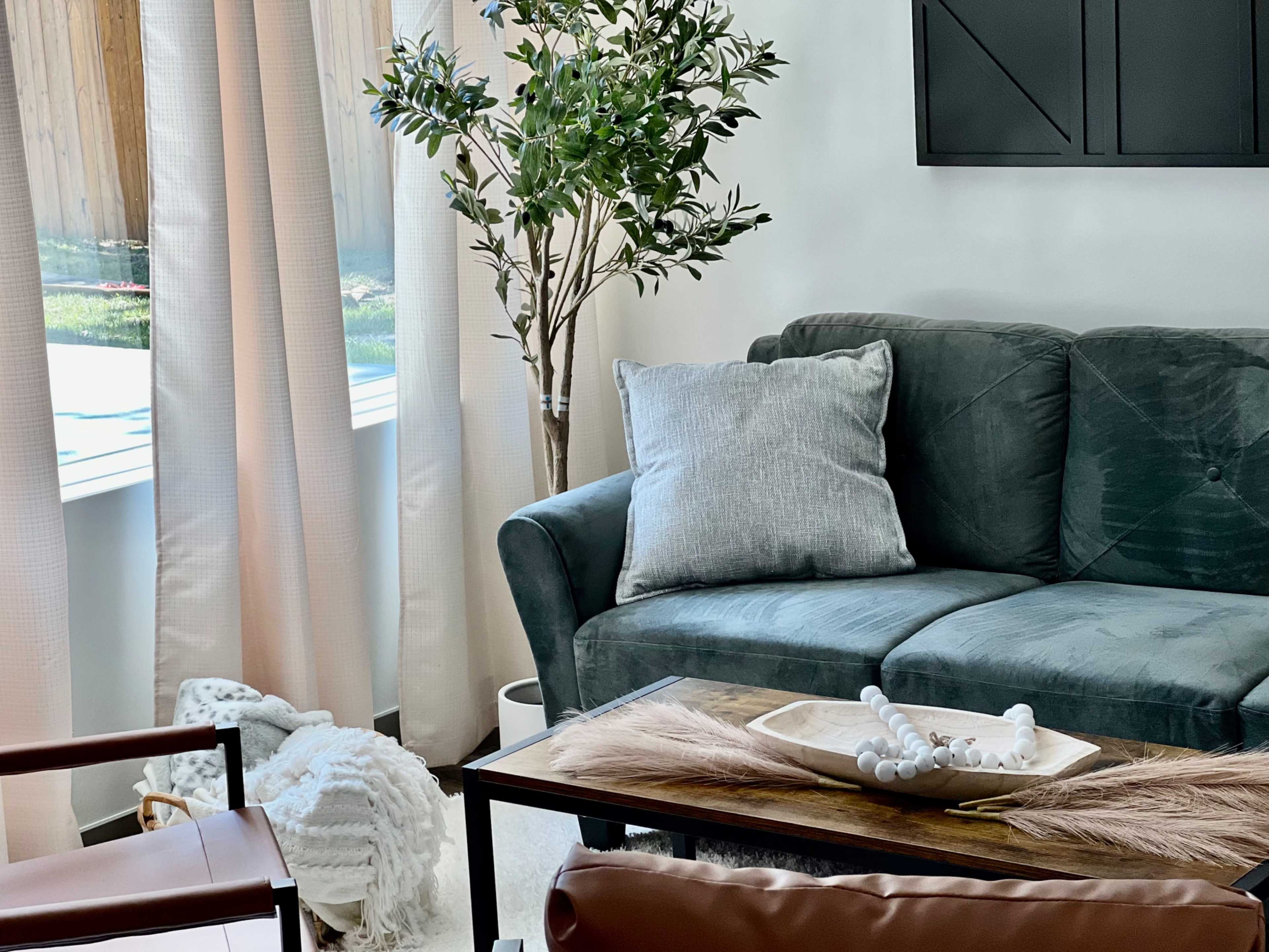 A cozy living room featuring a green sofa, a wooden coffee table with decorative elements, and a large indoor plant beside a window with sheer curtains.