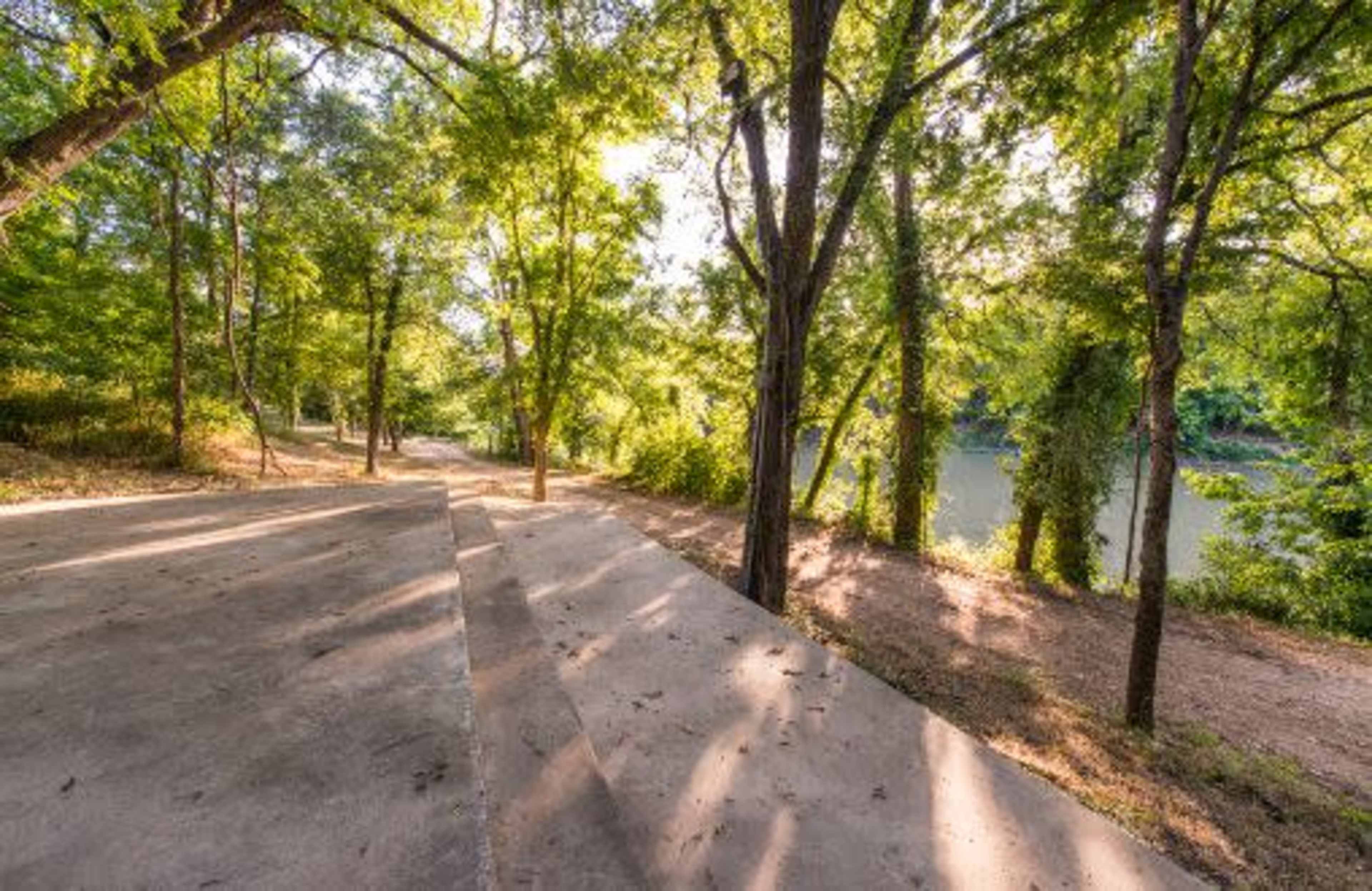 A concrete path leads into a wooded area beside a river, with sunlight filtering through the trees.
