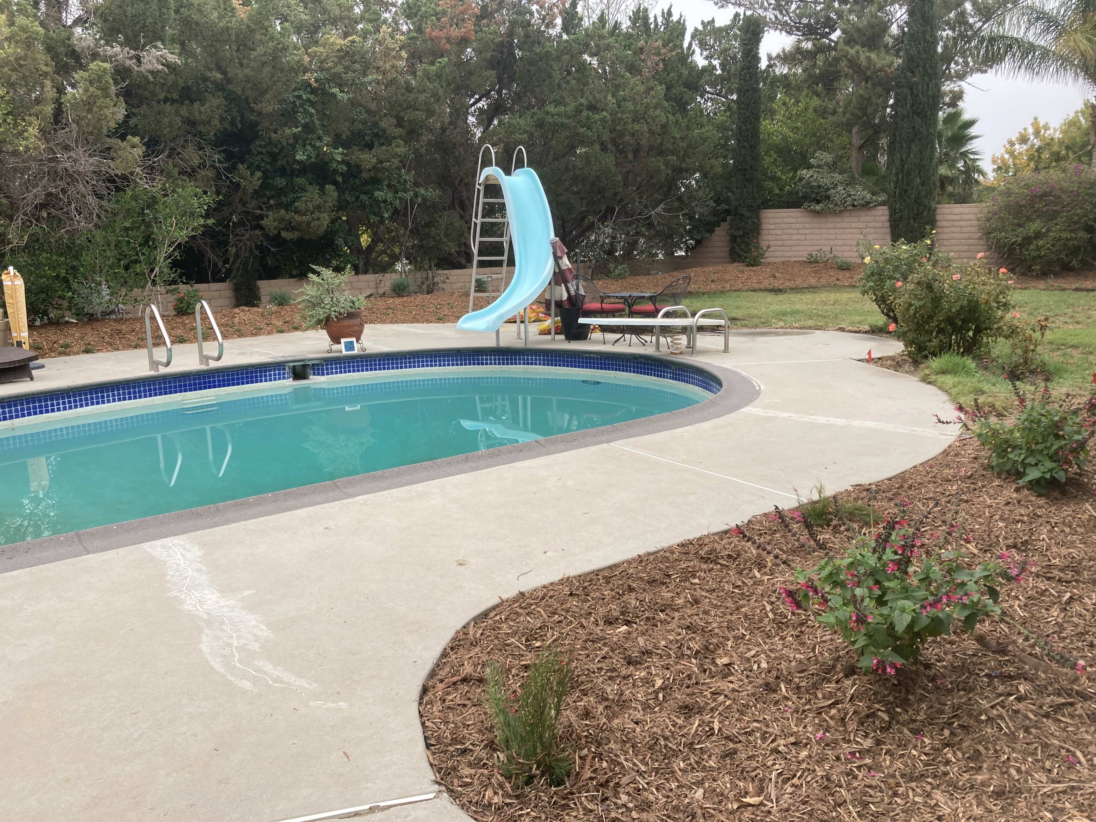 A swimming pool with a curved edge and a blue slide is surrounded by a landscaped area featuring shrubs and a grassy lawn.