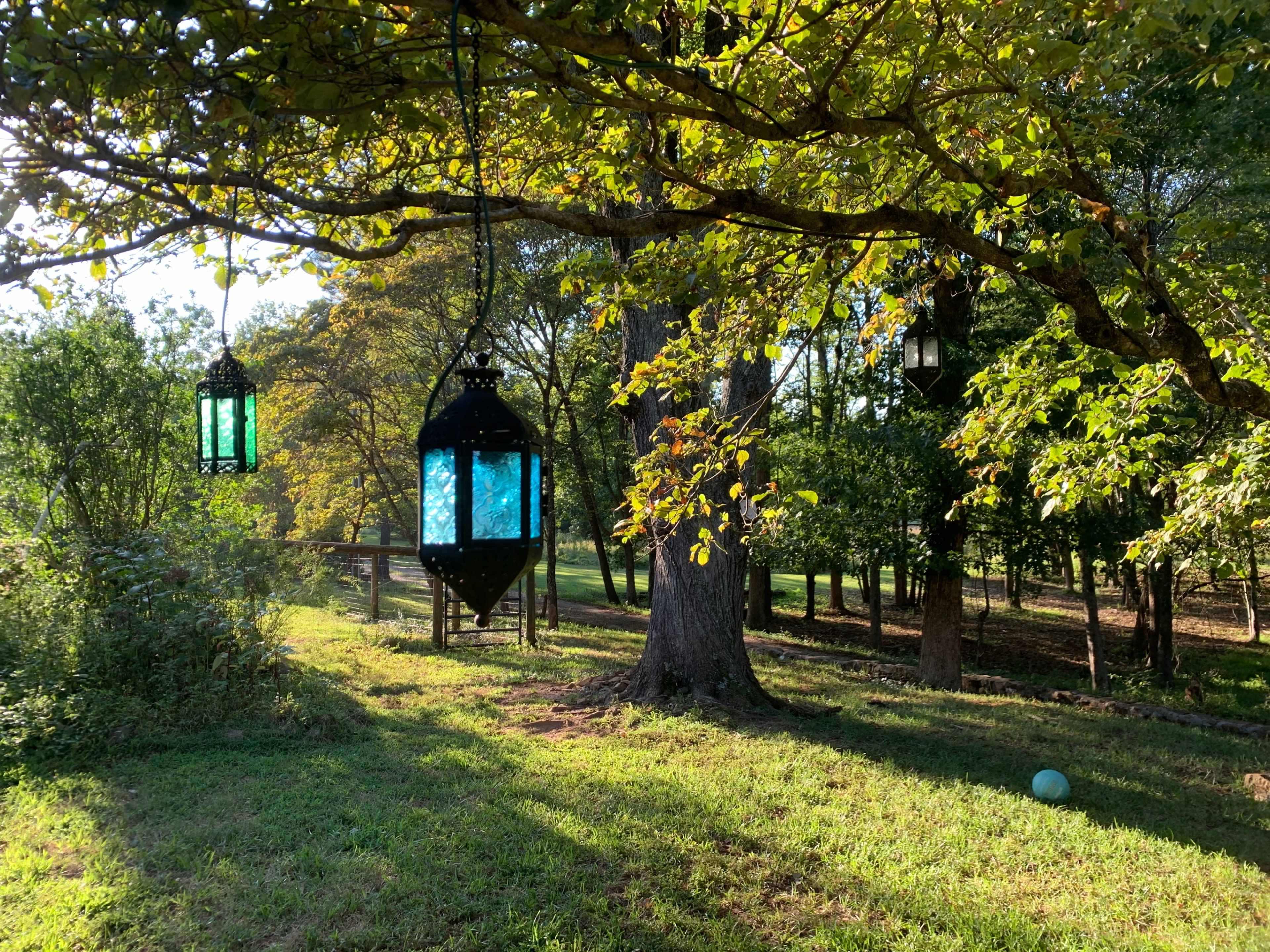 Three decorative lanterns hang from a tree, featuring blue glass panes, surrounded by greenery in a sunny outdoor setting.