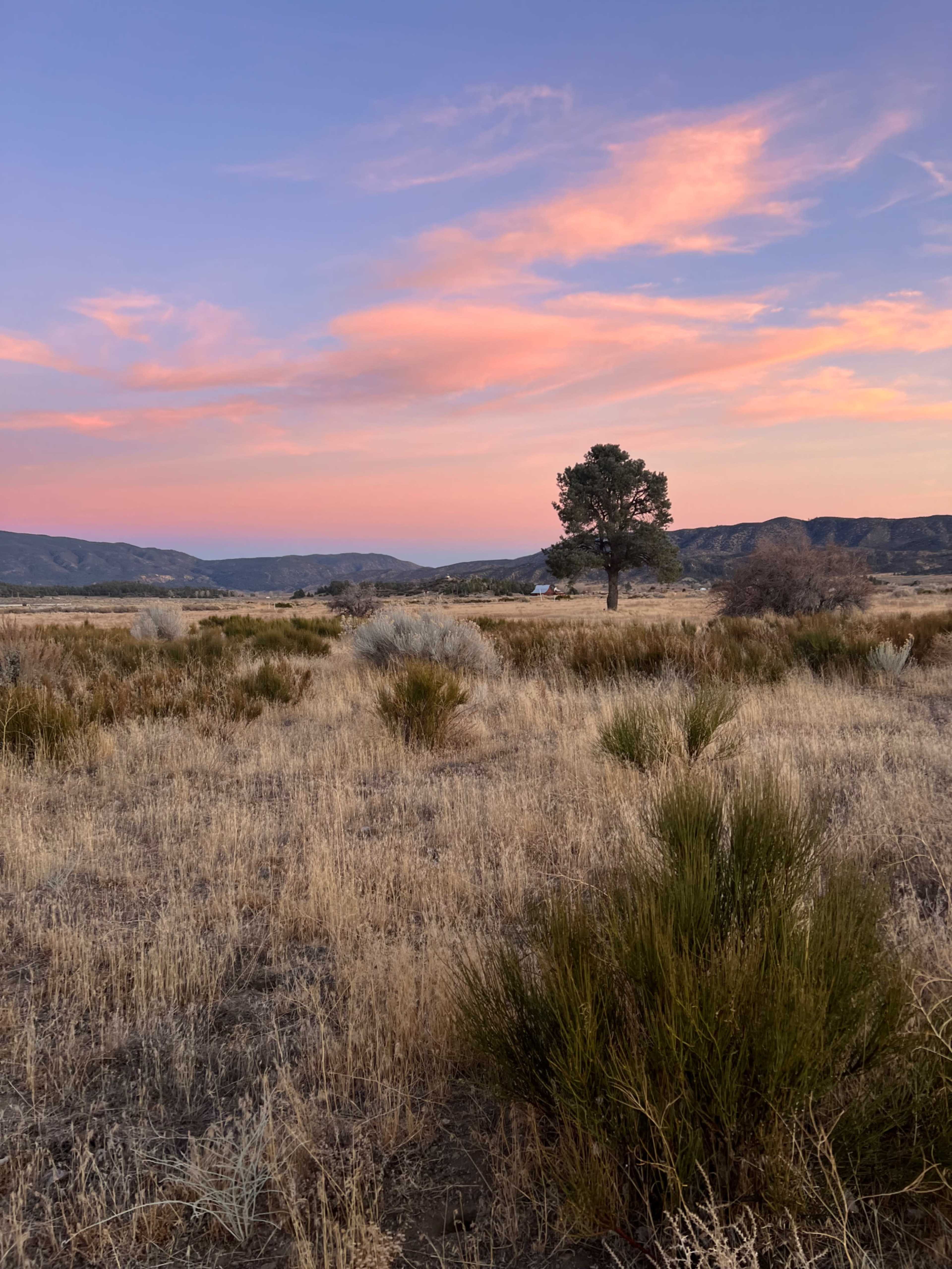 Rural Western Ranch on 40 acres with Airplane Hangar, Horse Facilities and  Vast Mountain Views Image in , Frazier Park, CA