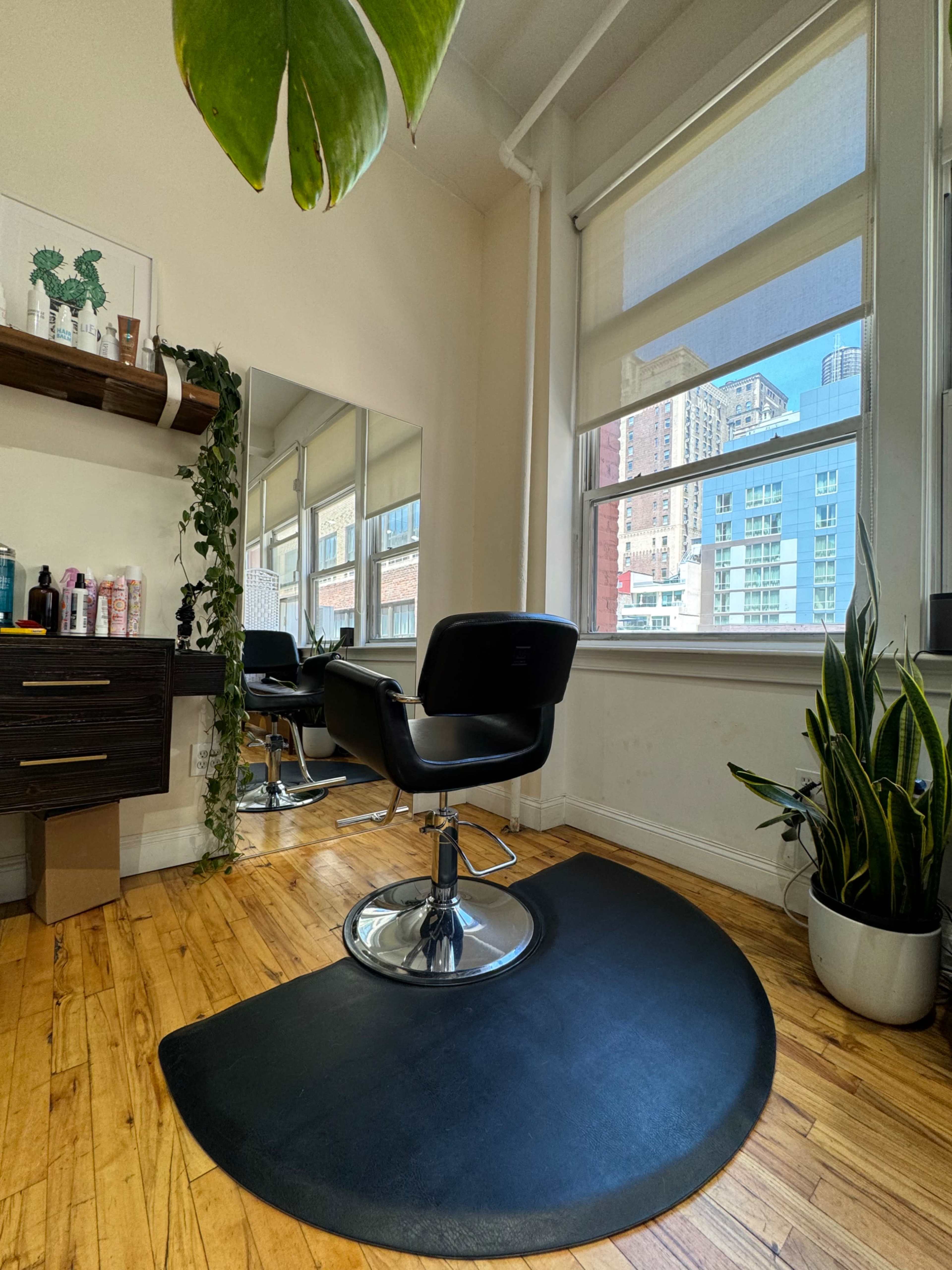 The image shows a salon interior featuring a black styling chair, a large mirror, and plants, with a view of city buildings through the window.
