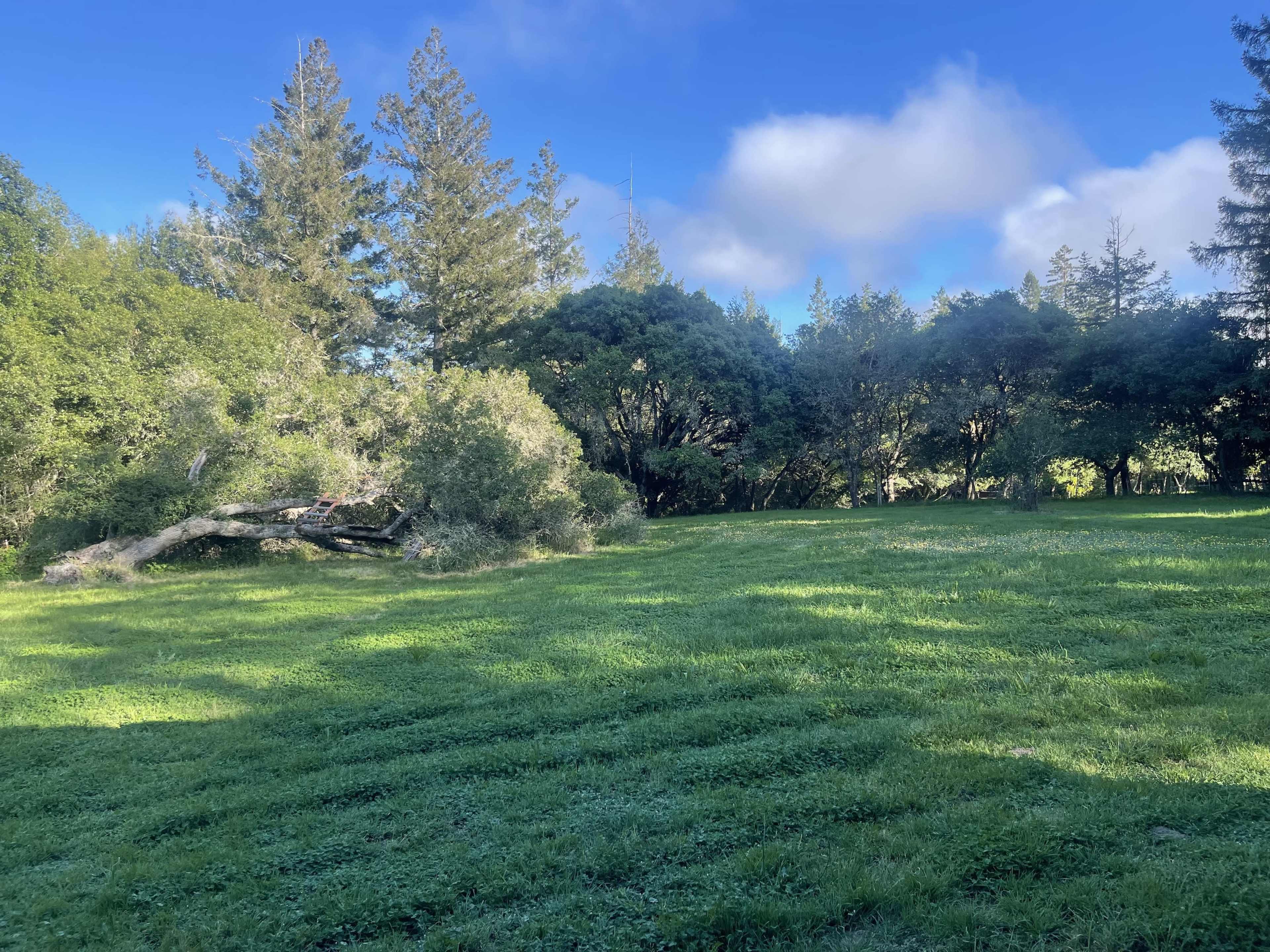 The image shows a lush green field surrounded by trees under a partly cloudy blue sky.