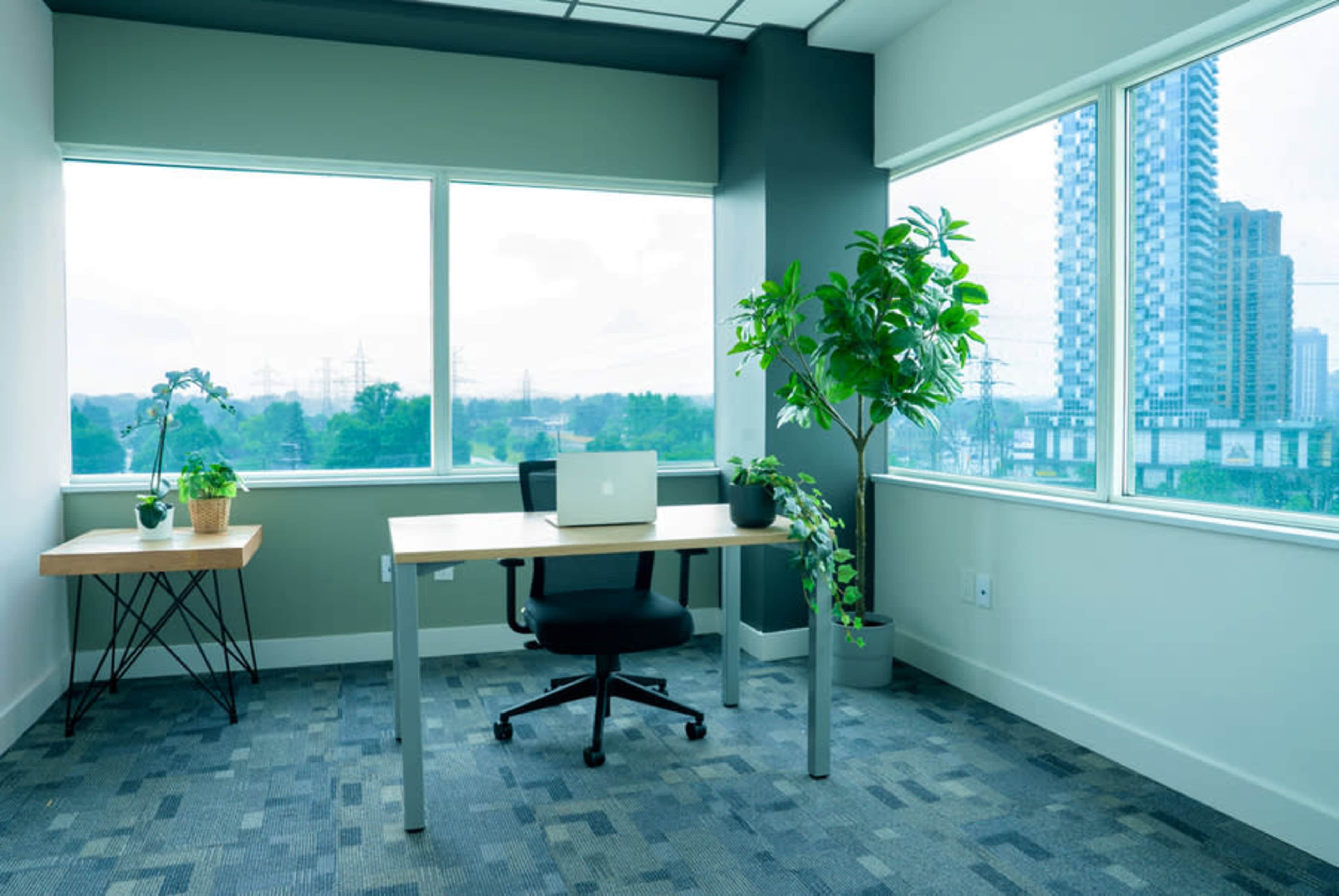 The image shows a modern office space with a desk, chair, and plants placed near large windows offering a view of a cityscape.