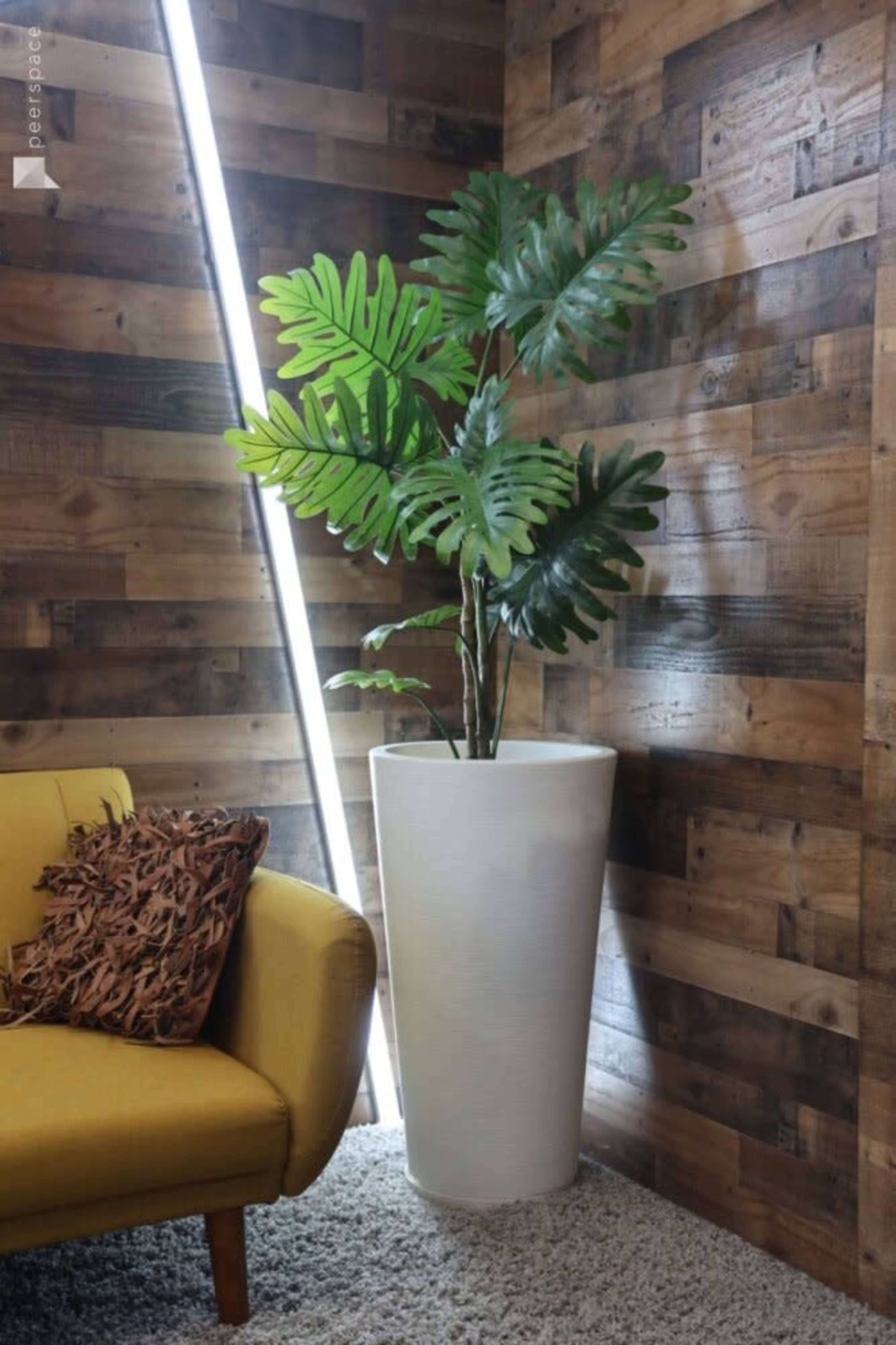 A large potted plant with broad leaves stands beside a yellow sofa against a wooden wall, illuminated by a vertical strip light.