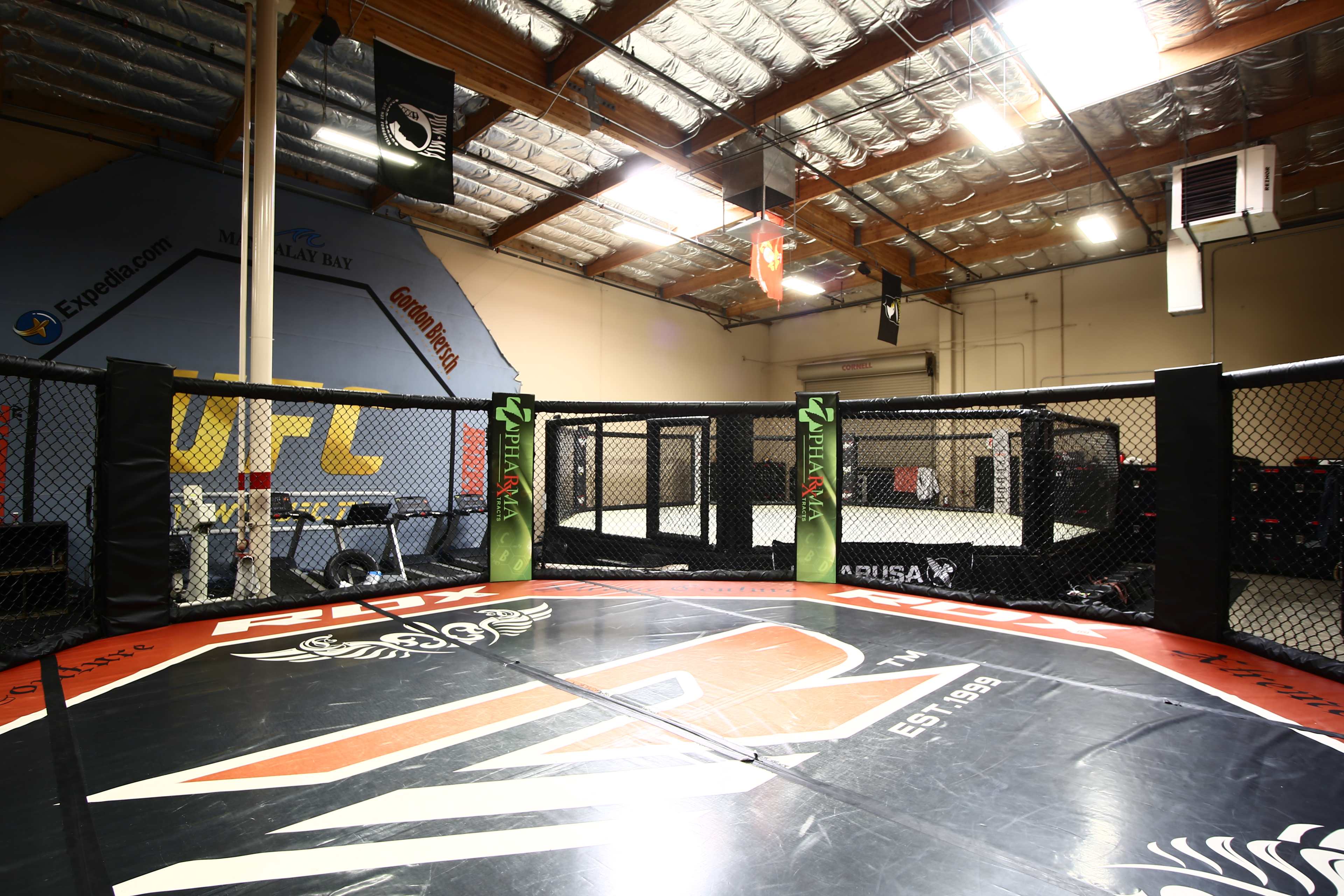 A mixed martial arts training facility with an octagonal cage, promotional banners, and a matted area.