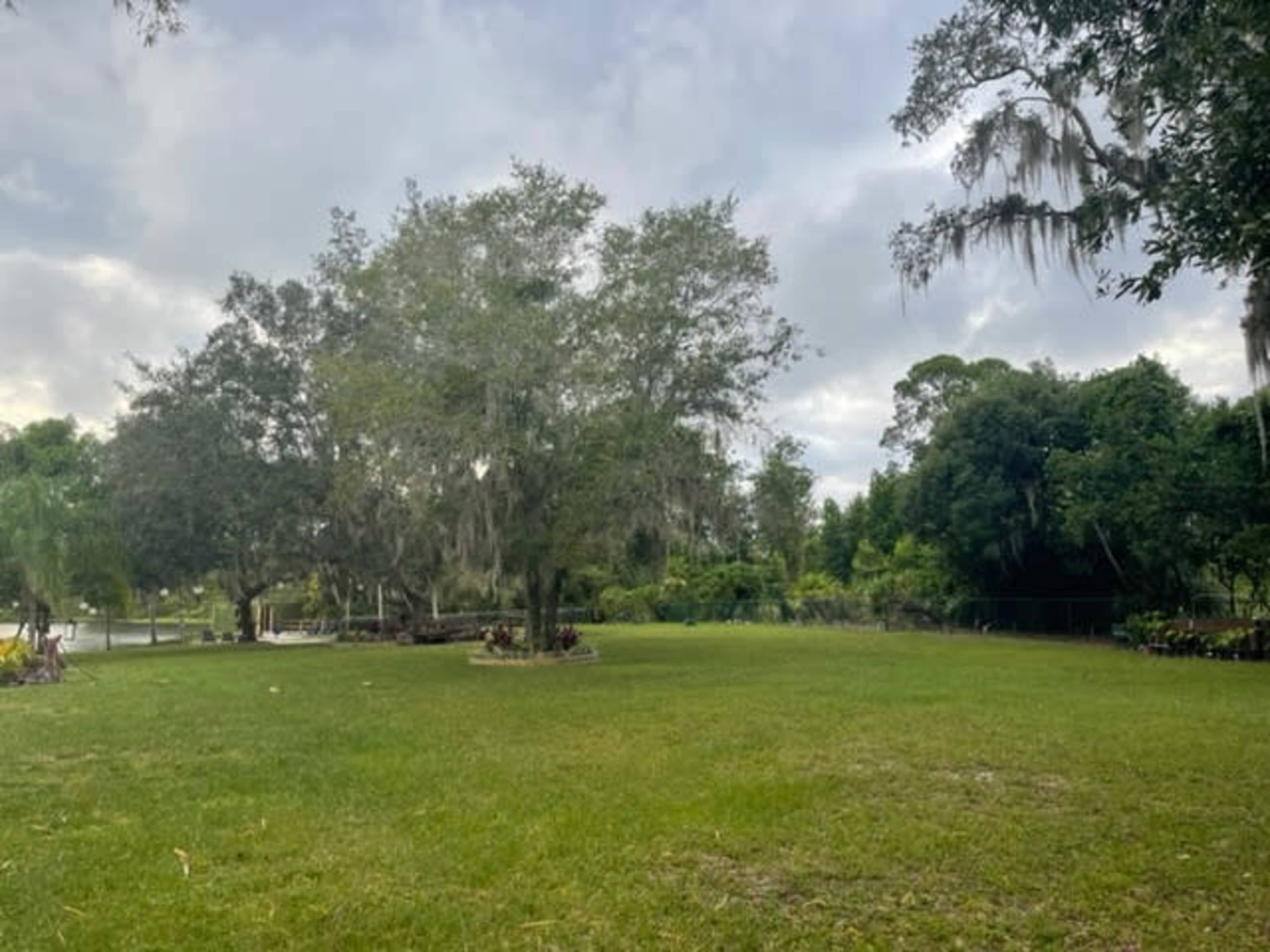 A grassy area with several trees, including one with hanging Spanish moss, set against a backdrop of cloudy skies.