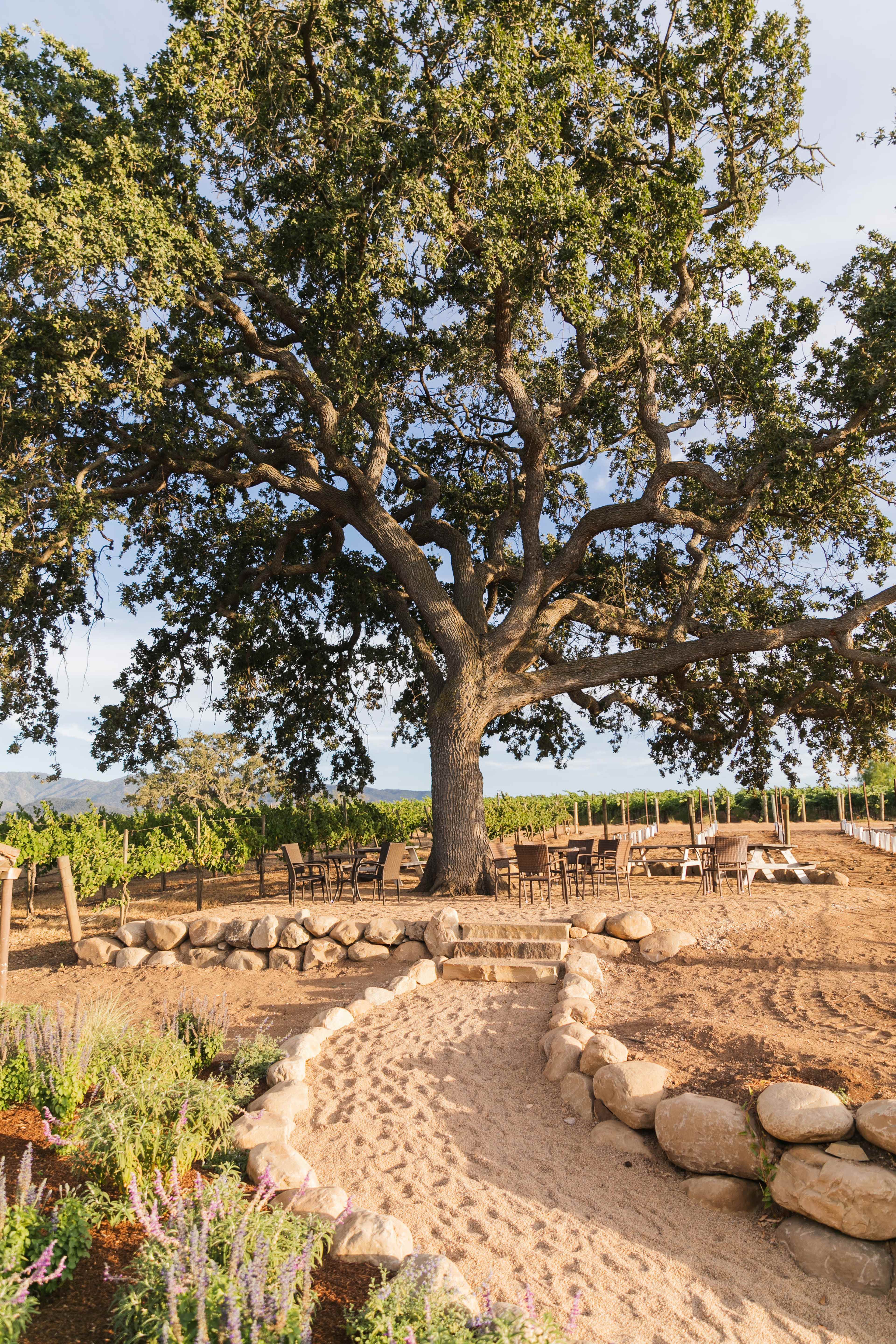 Your Private Vineyard Estate for the Day Image in , Santa Ynez, CA