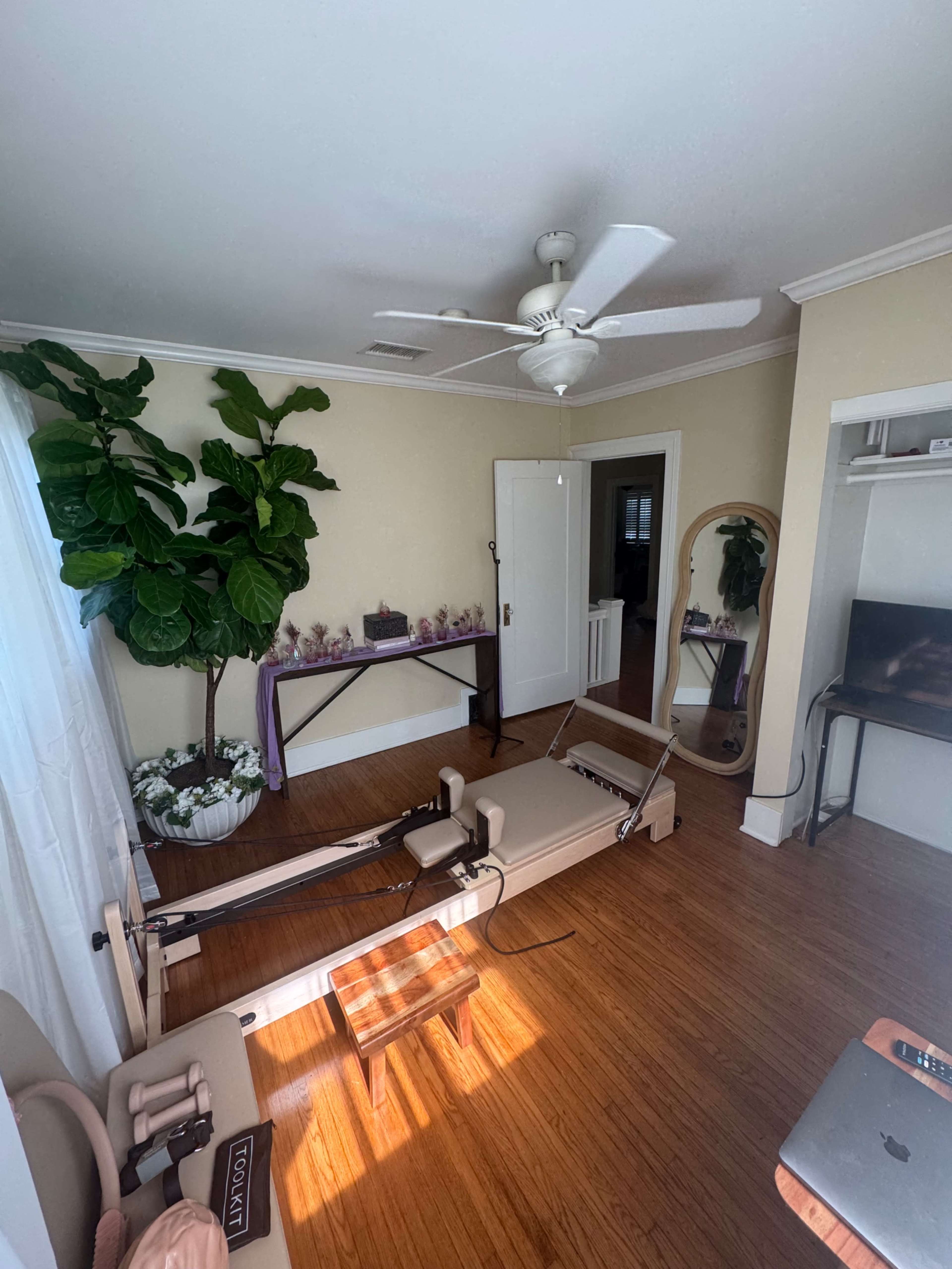 A bright room features a pilates reformer, a large potted plant, a mirror, and a small table with decorative items.