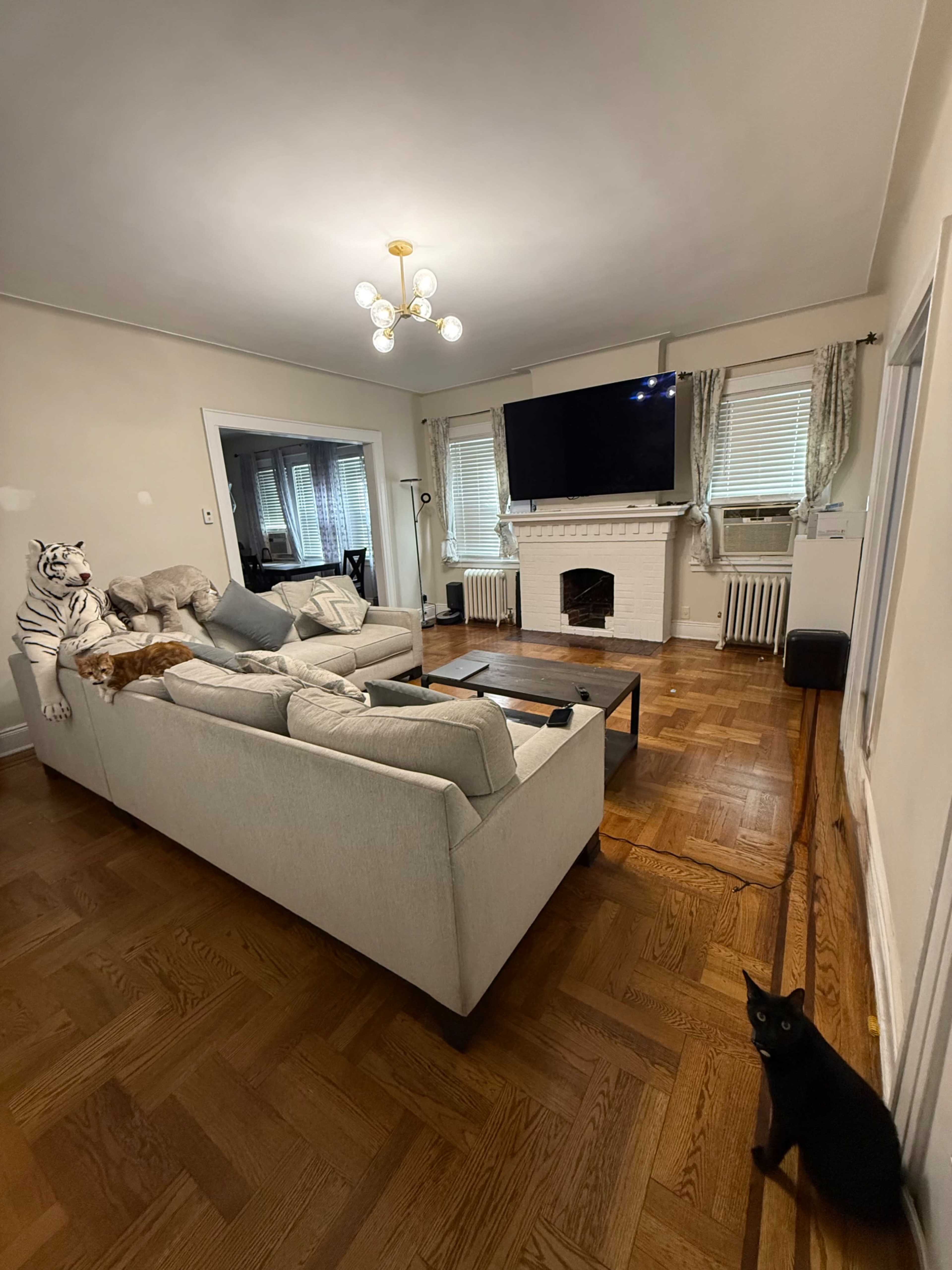 Historic Jackson Heights Family Home — Perfect for Film, TV, Advertising & Creative Projects Image in Jackson Heights, Jackson Heights, NY