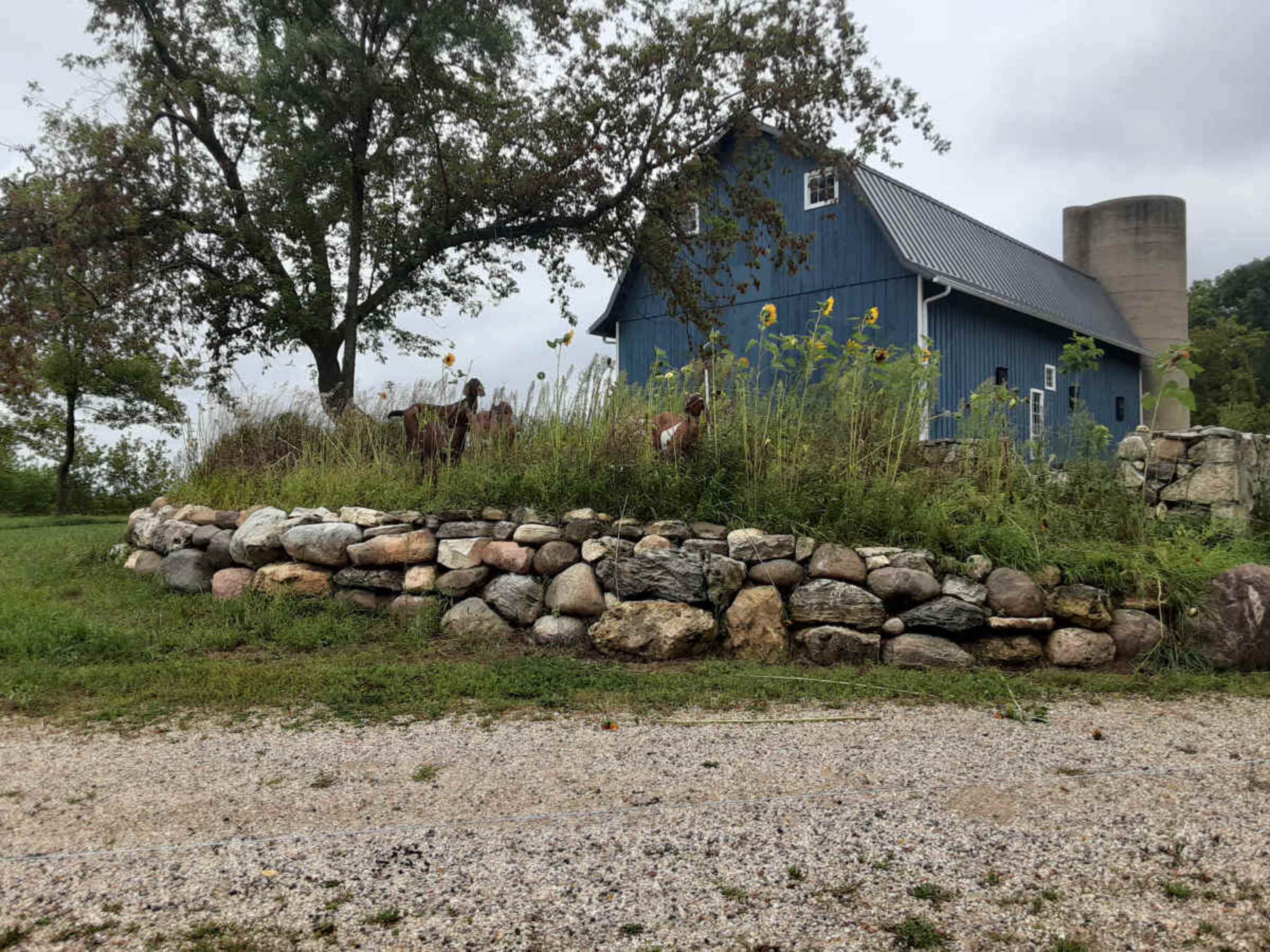 Rural Retreat with Idyllic Views Image in Genesee, North Prairie, WI