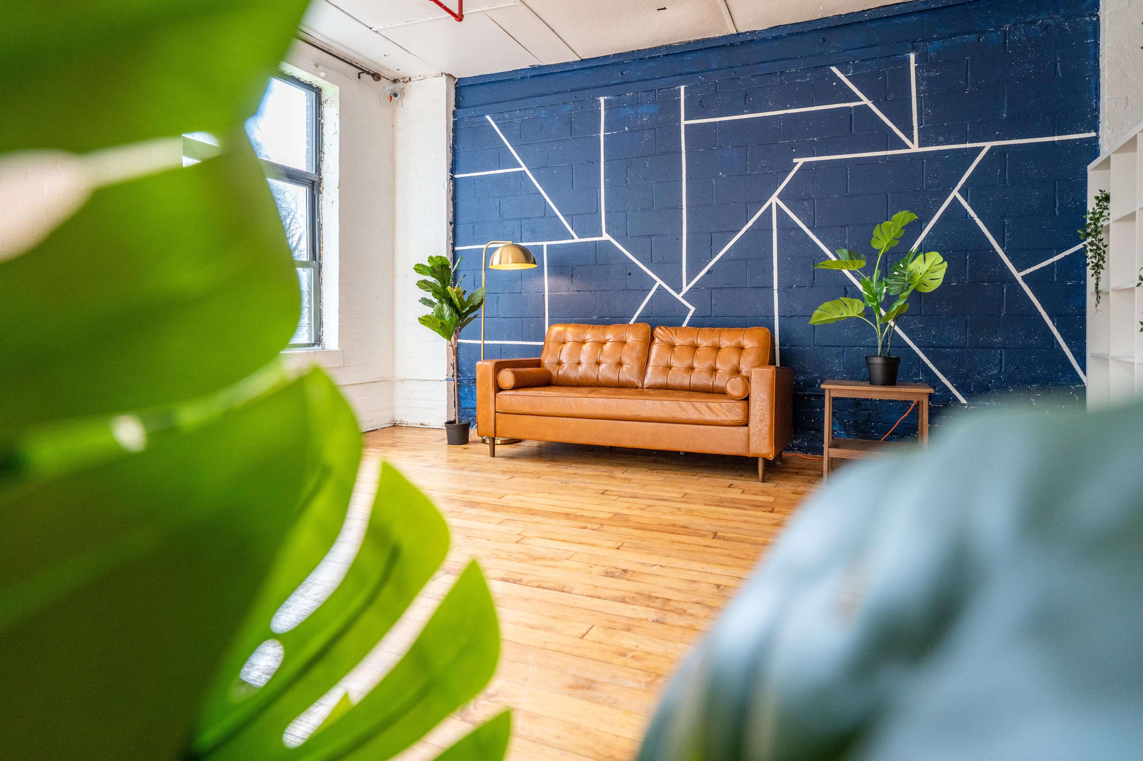 A brown leather couch sits against a blue wall with geometric white lines, surrounded by green plants in pots.