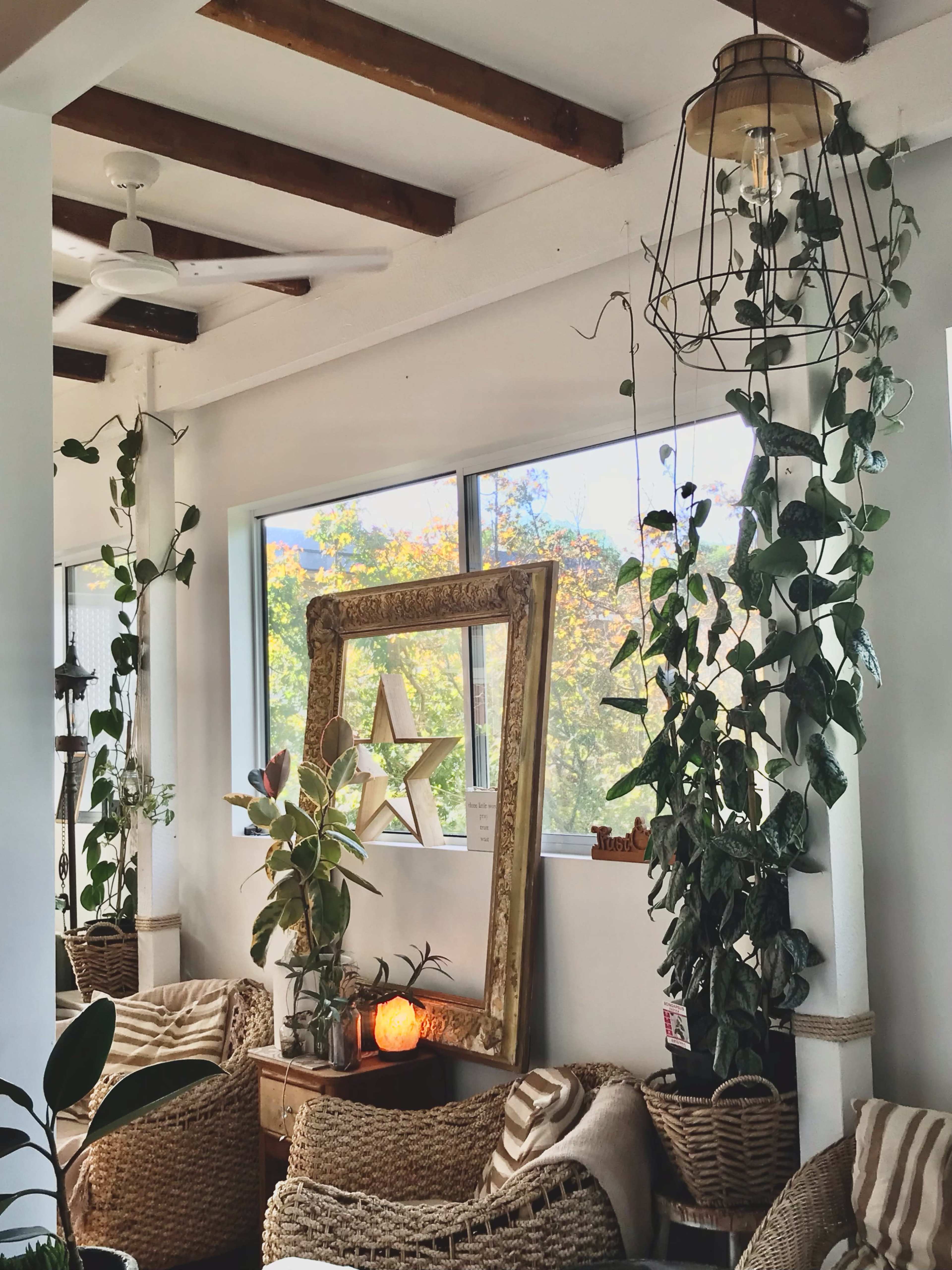 Large eclectic space with outdoor courtyard Image in Dee Why, Dee Why, NSW