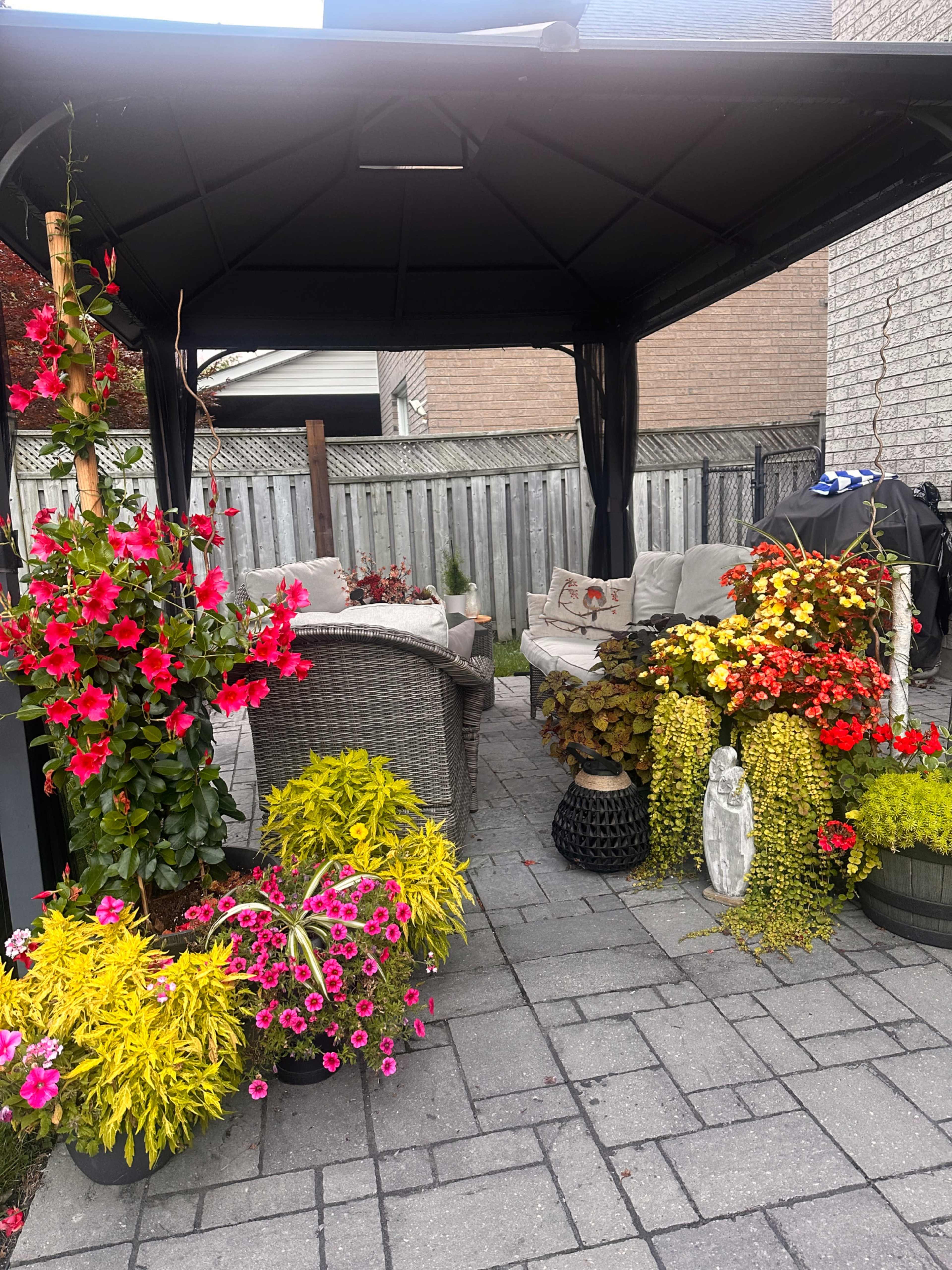 A gazebo is surrounded by vibrant flower arrangements and patio furniture in a backyard setting.