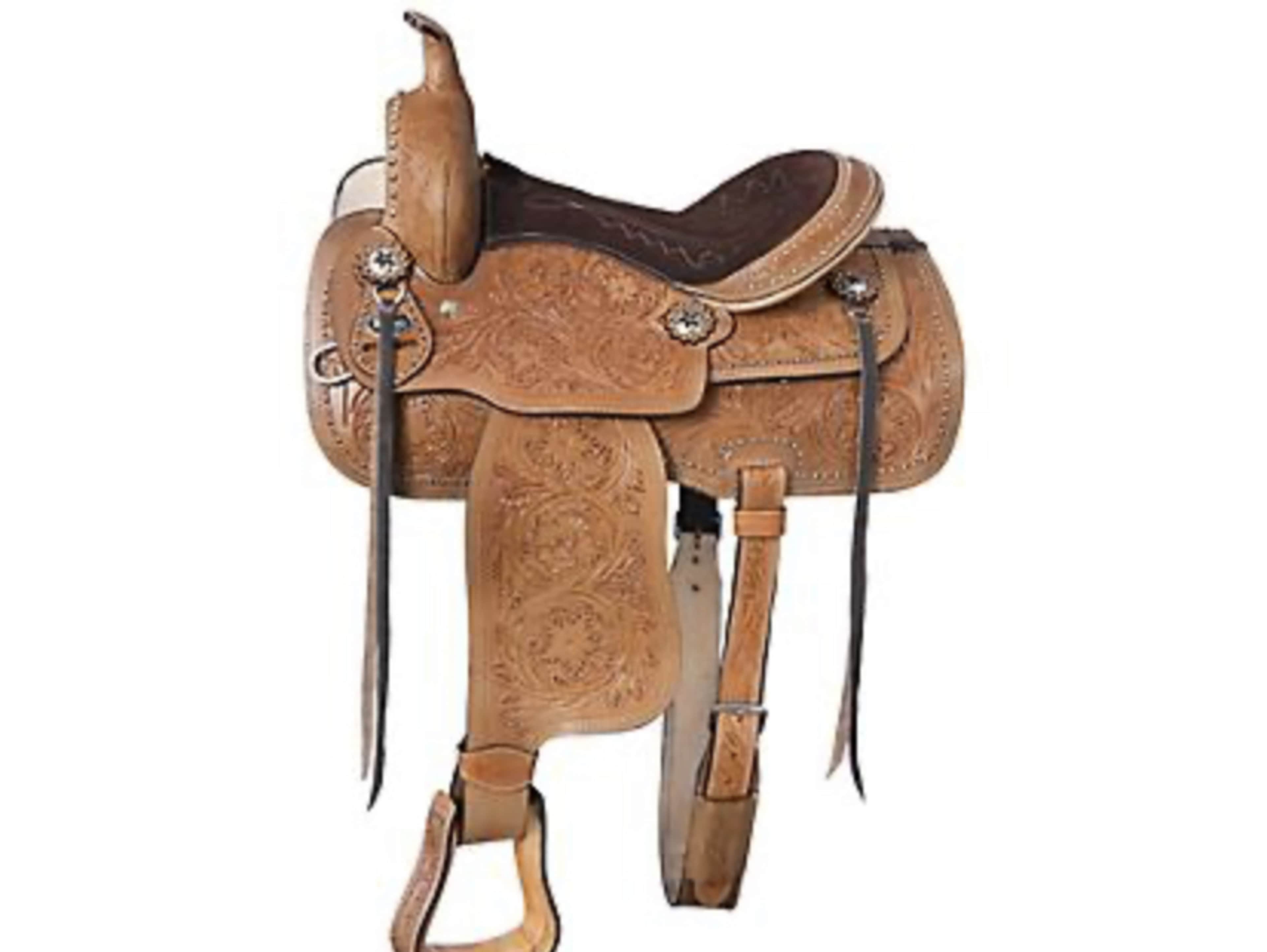 Saddle/tack 